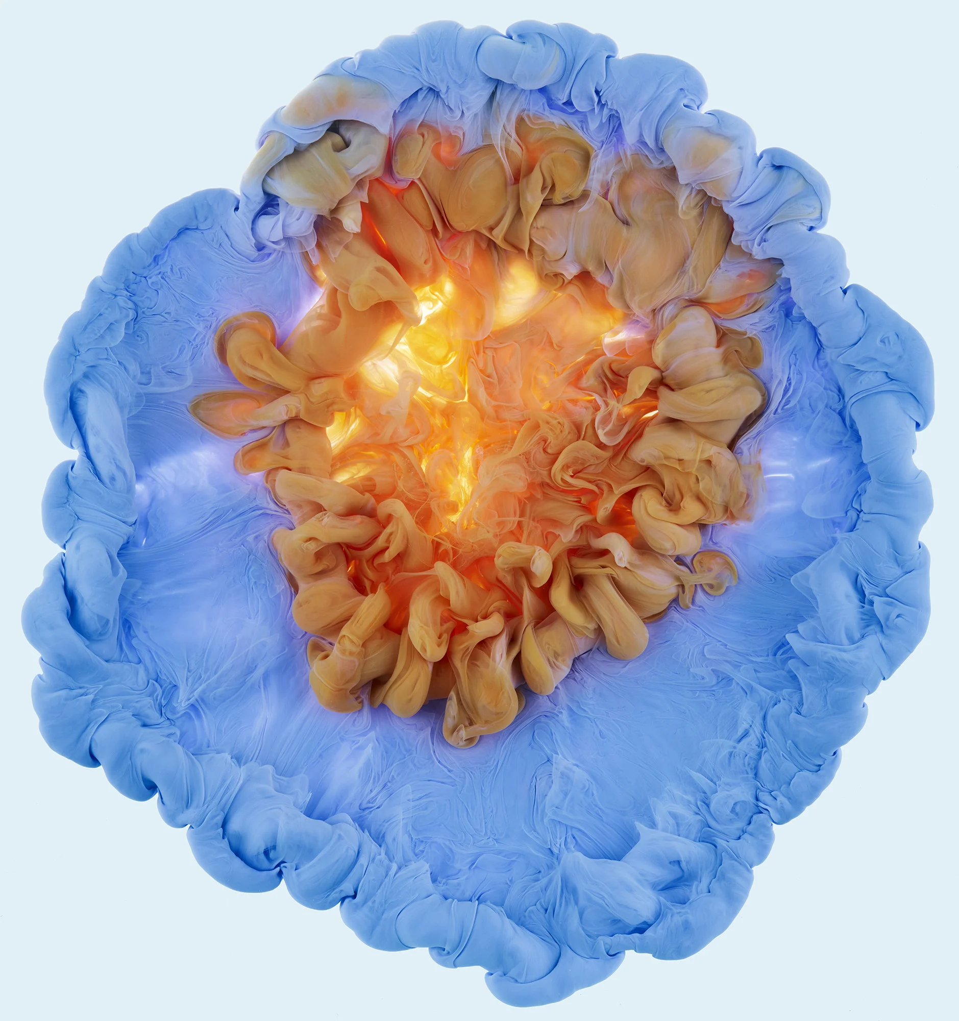liquid flower3.jpg