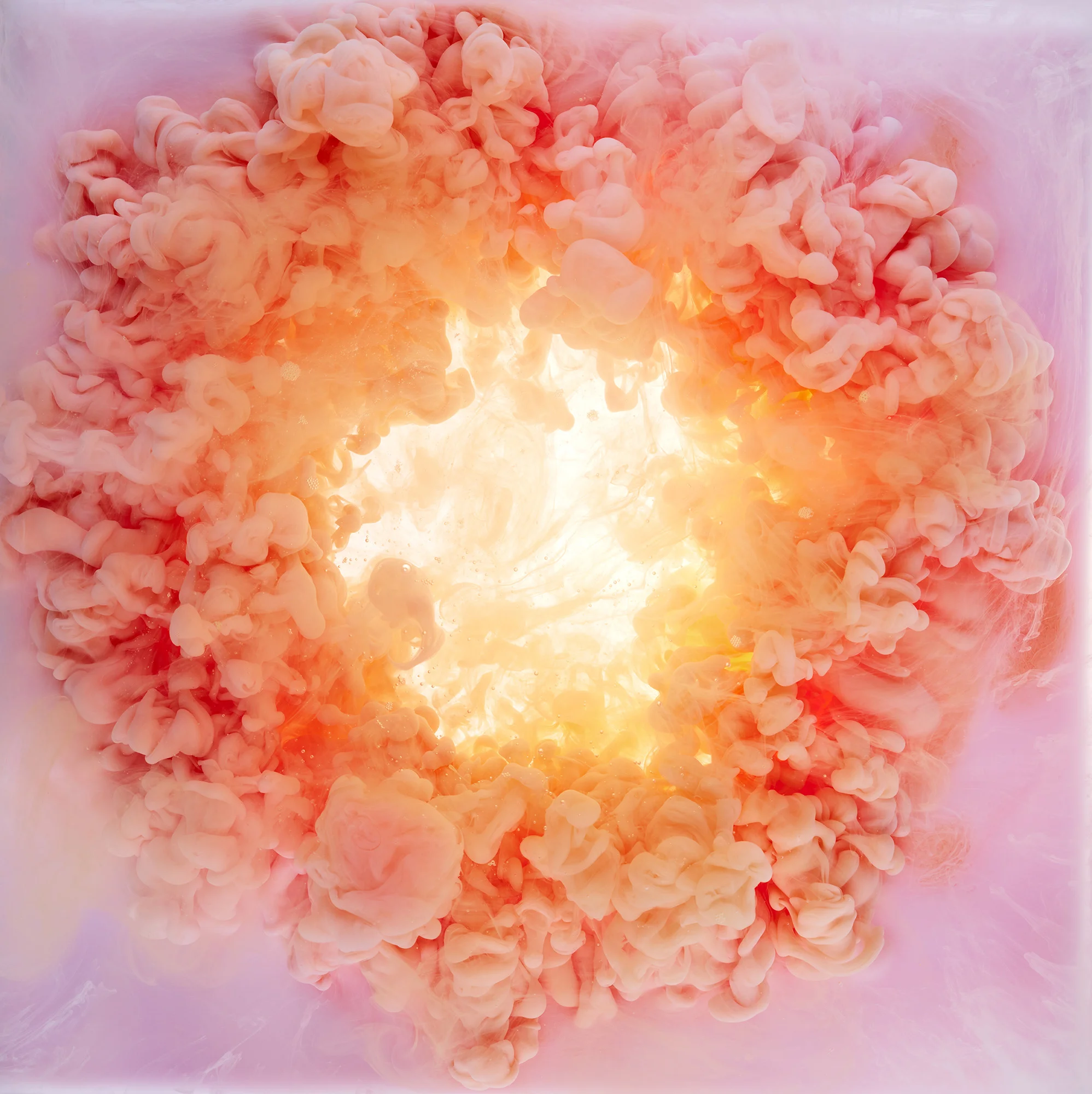 liquid flower7.jpg