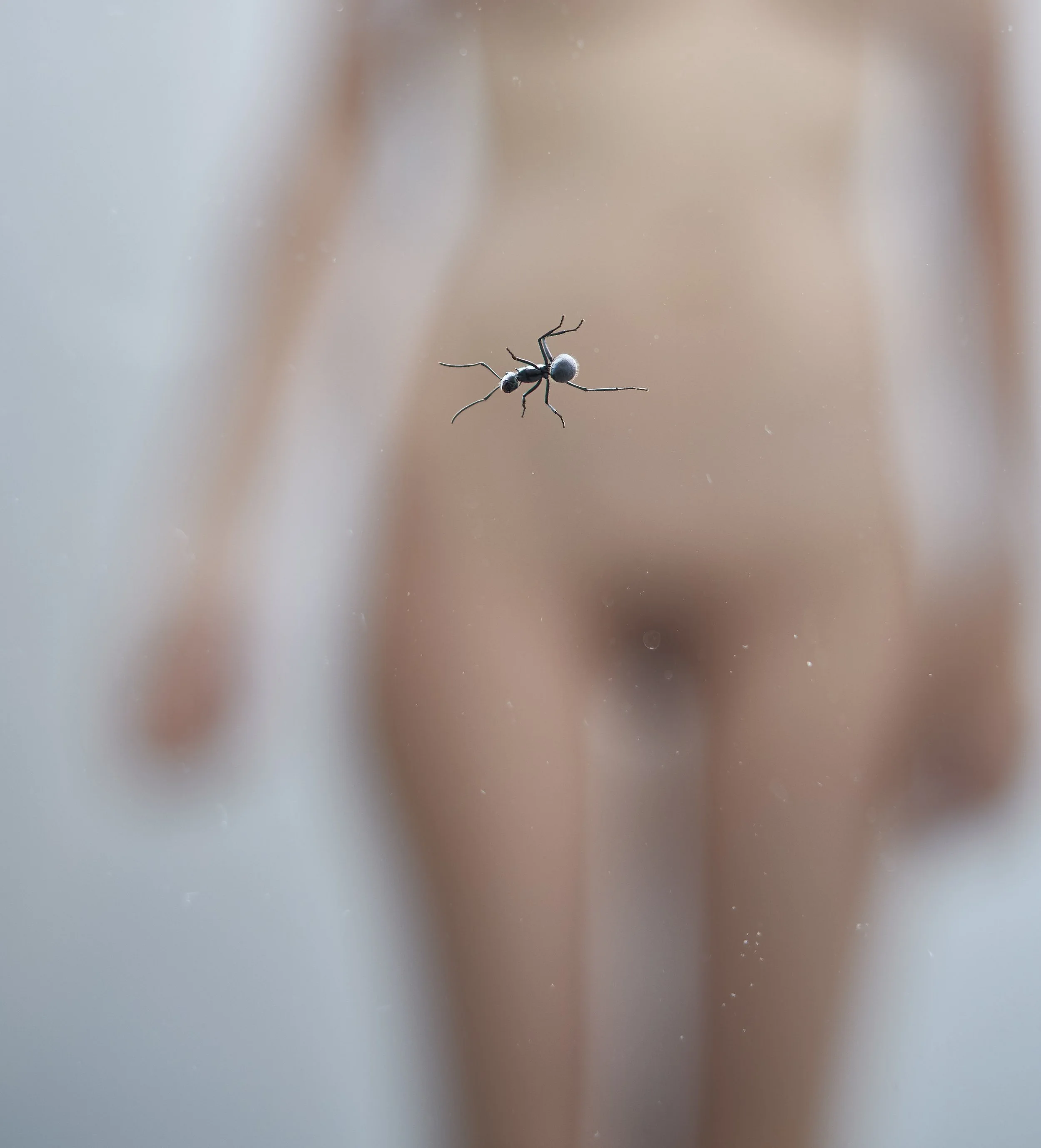  .  . 
