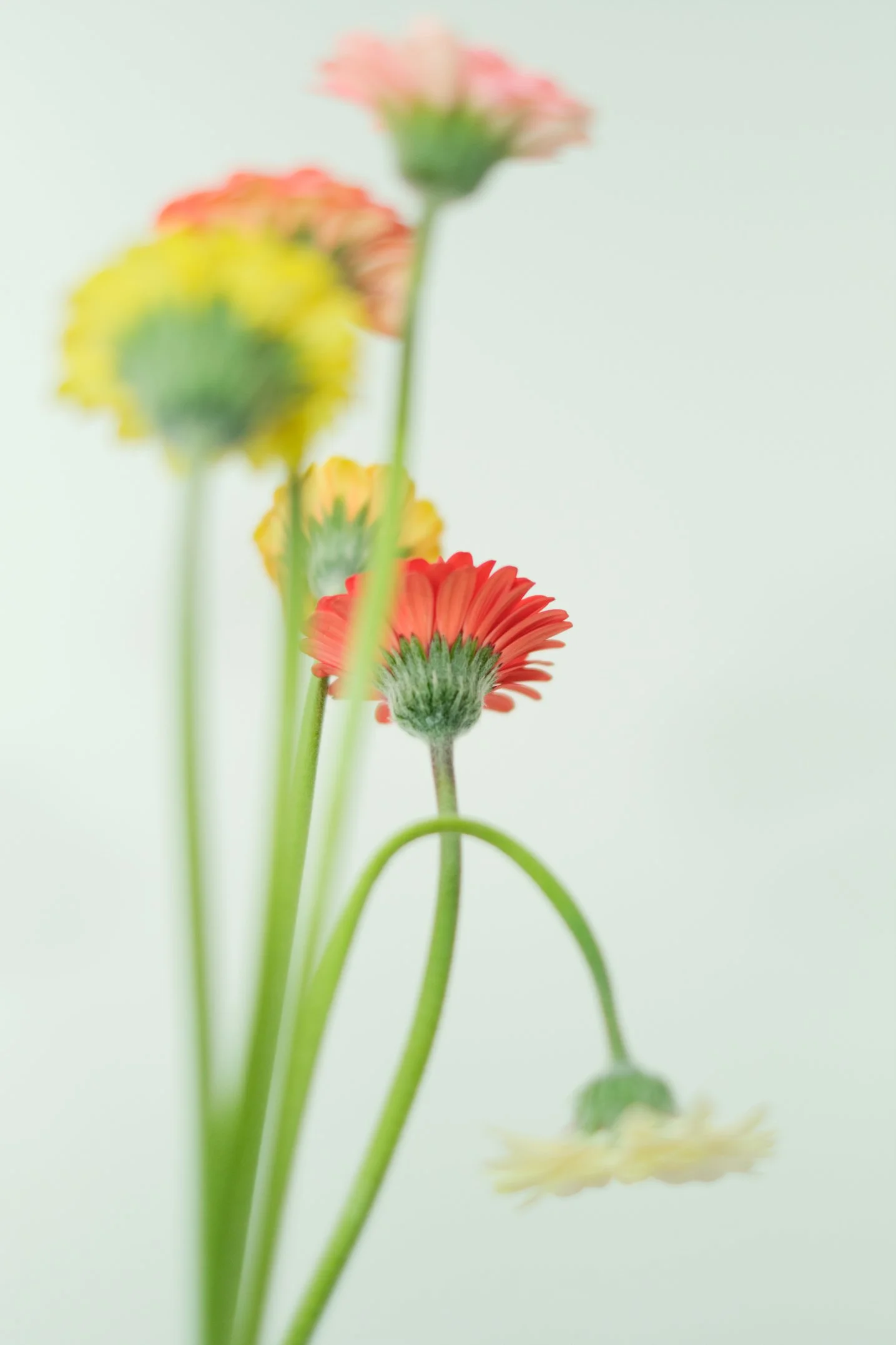 Captura de pantalla 2021-01-26 a las 16.23.56.png