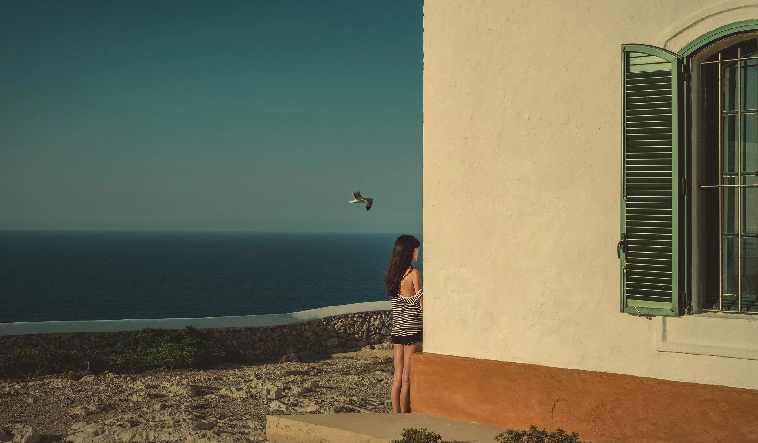    Le Voyage De Cecile Nº 7       