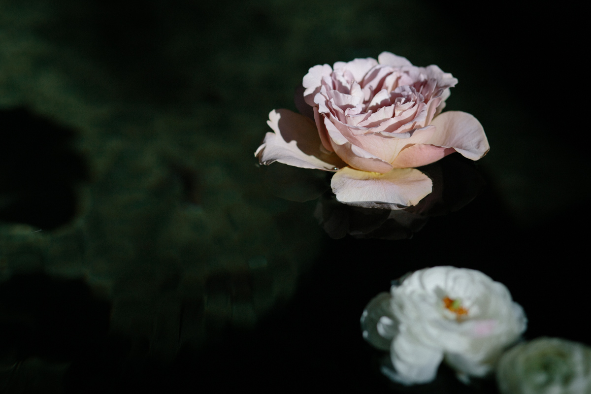 Ema-Mota-Ramos-Oceânica-Studio-68.jpg