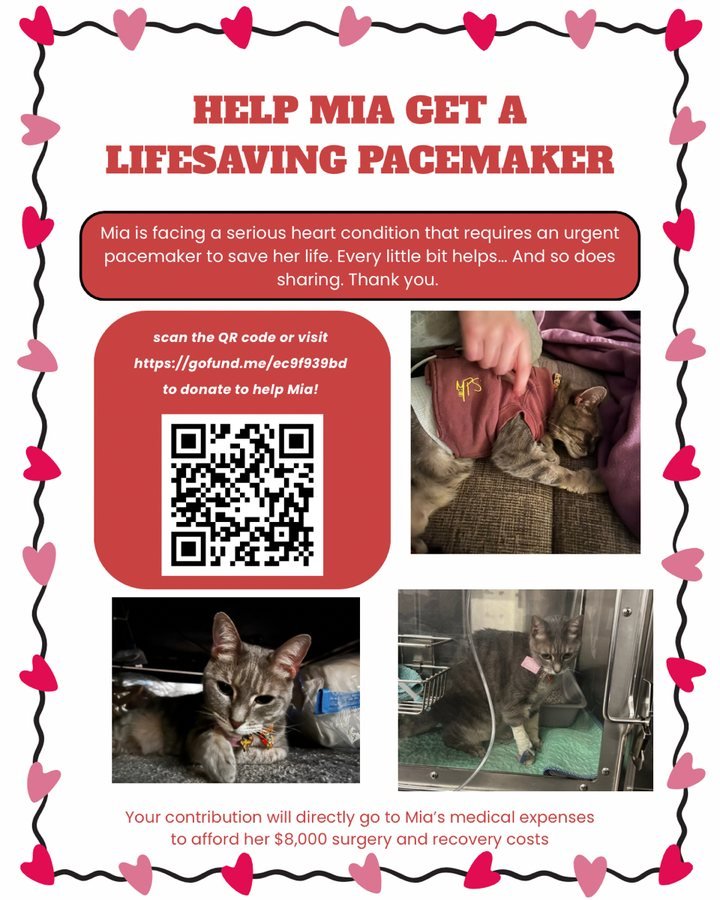 Please consider helping a fury friend in need &lt;3