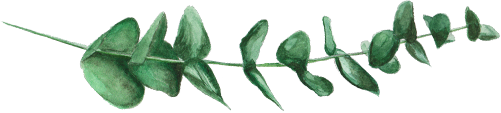 euc.png