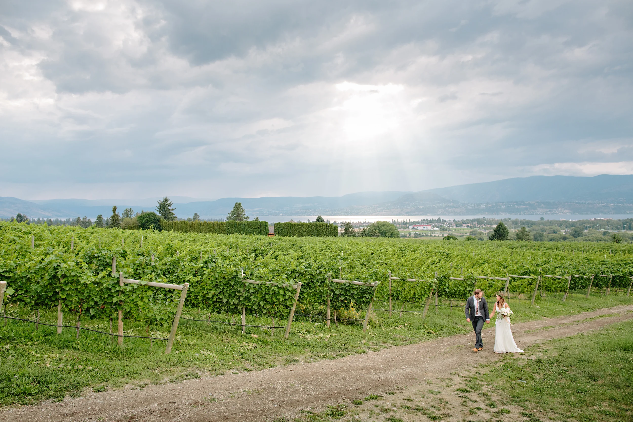 Okanagan+Vineyard+Wedding.jpeg