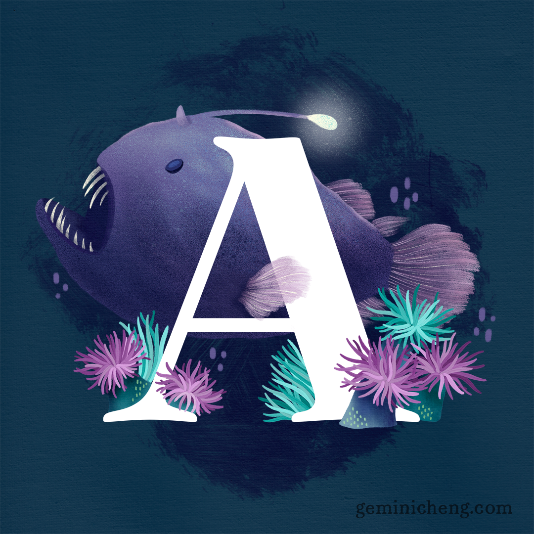 A for Anglerfish and Anemone_1080.png