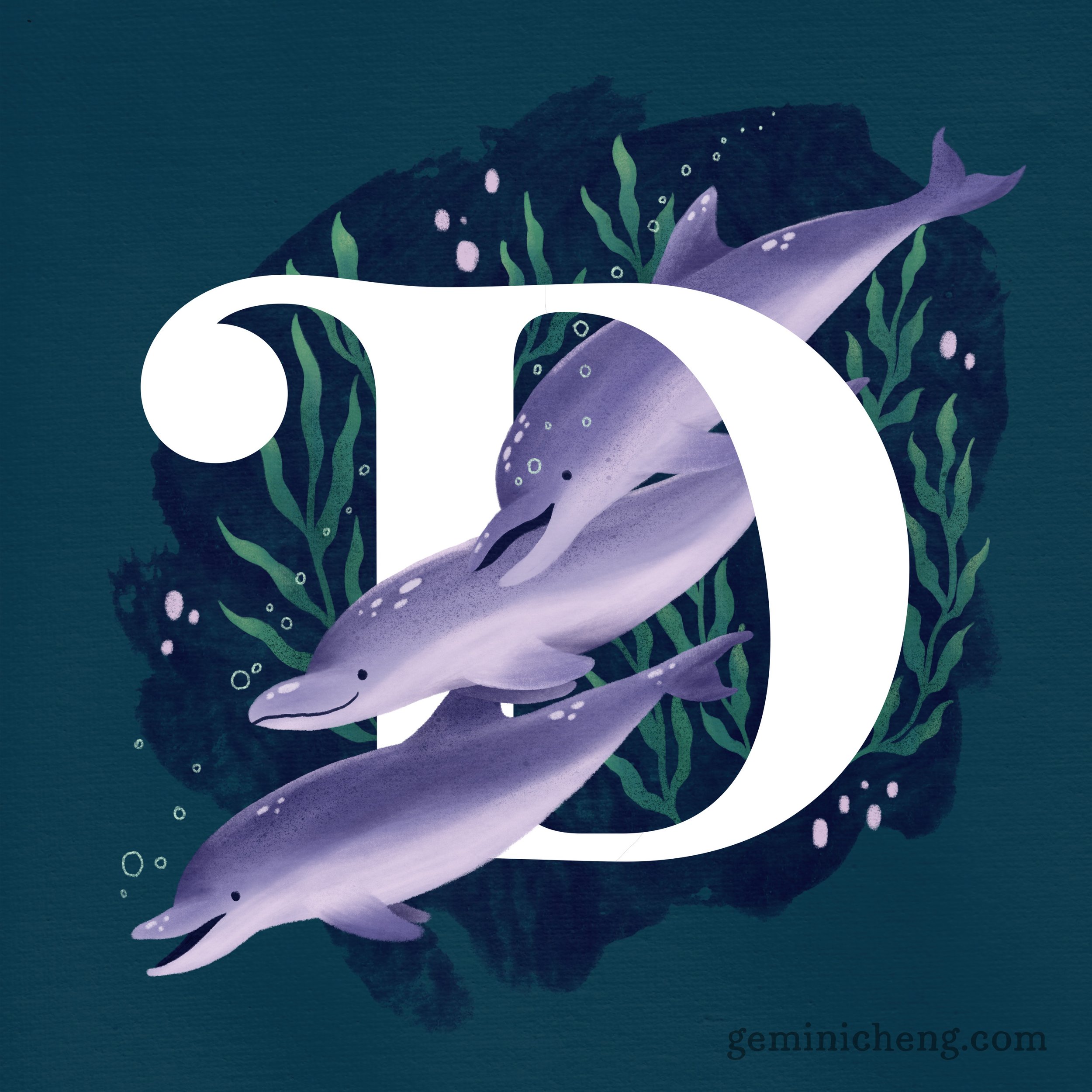 D for Dolphins_1080.jpg