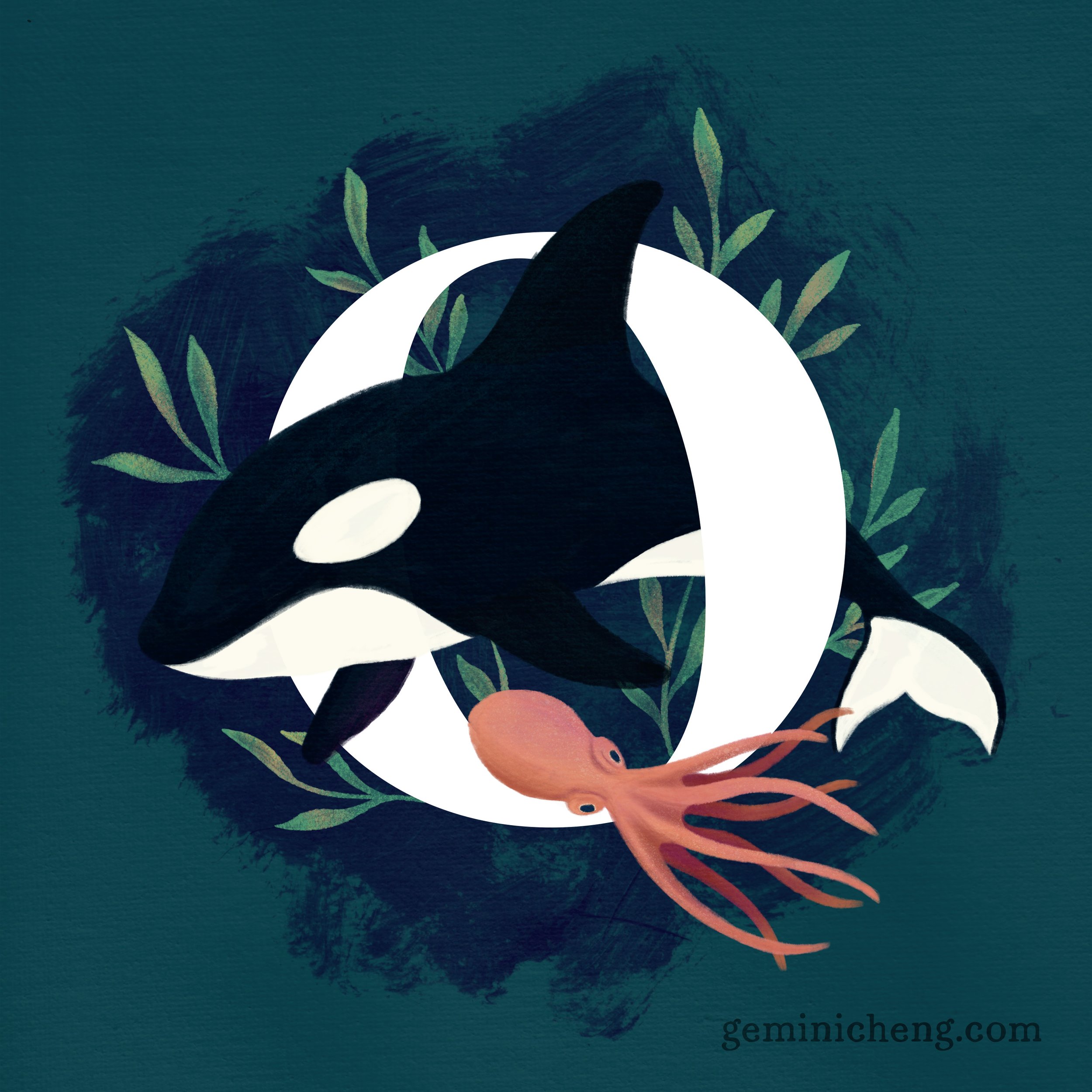 O for Orca and Octopus_1080.jpg