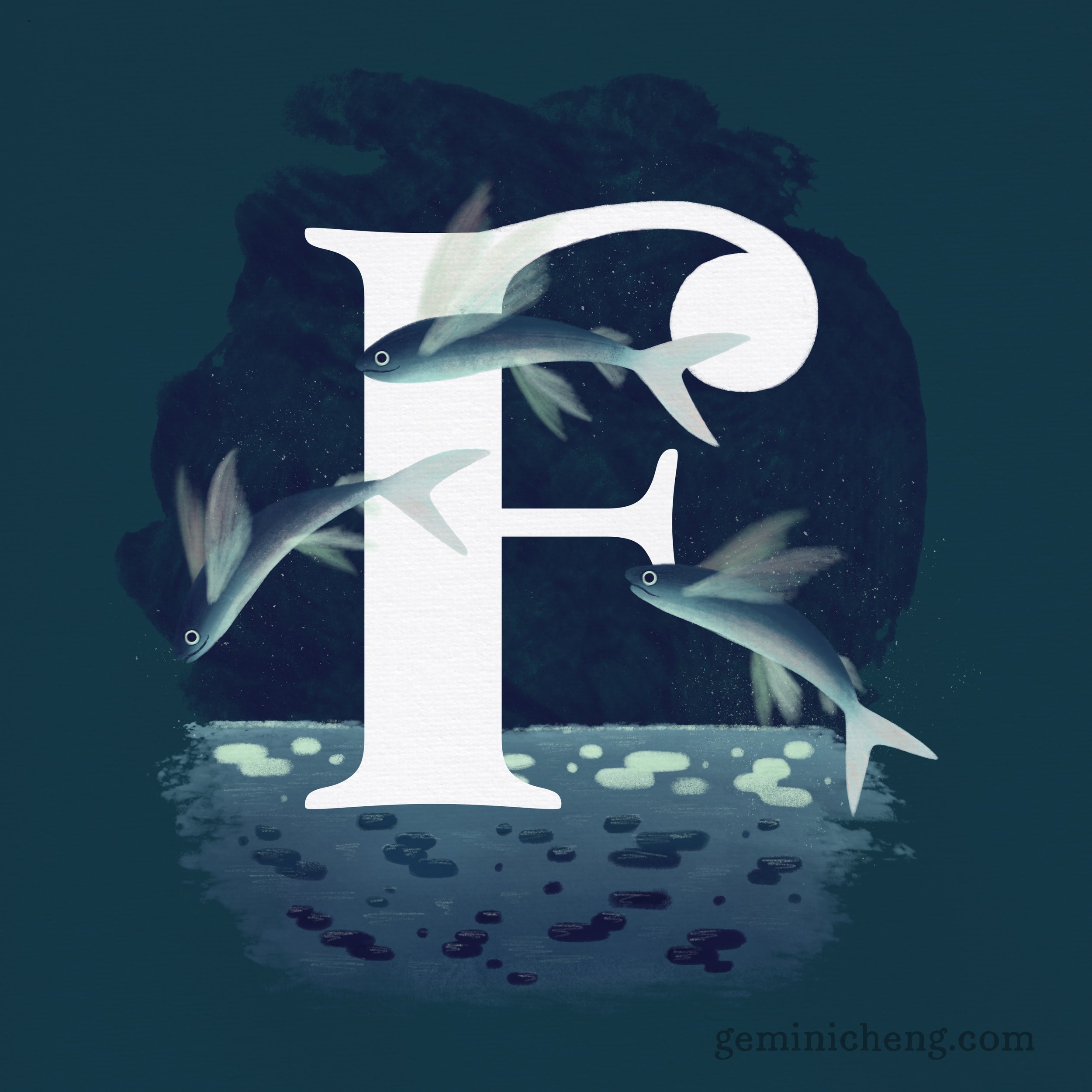 F for Flying Fish_1080.jpg