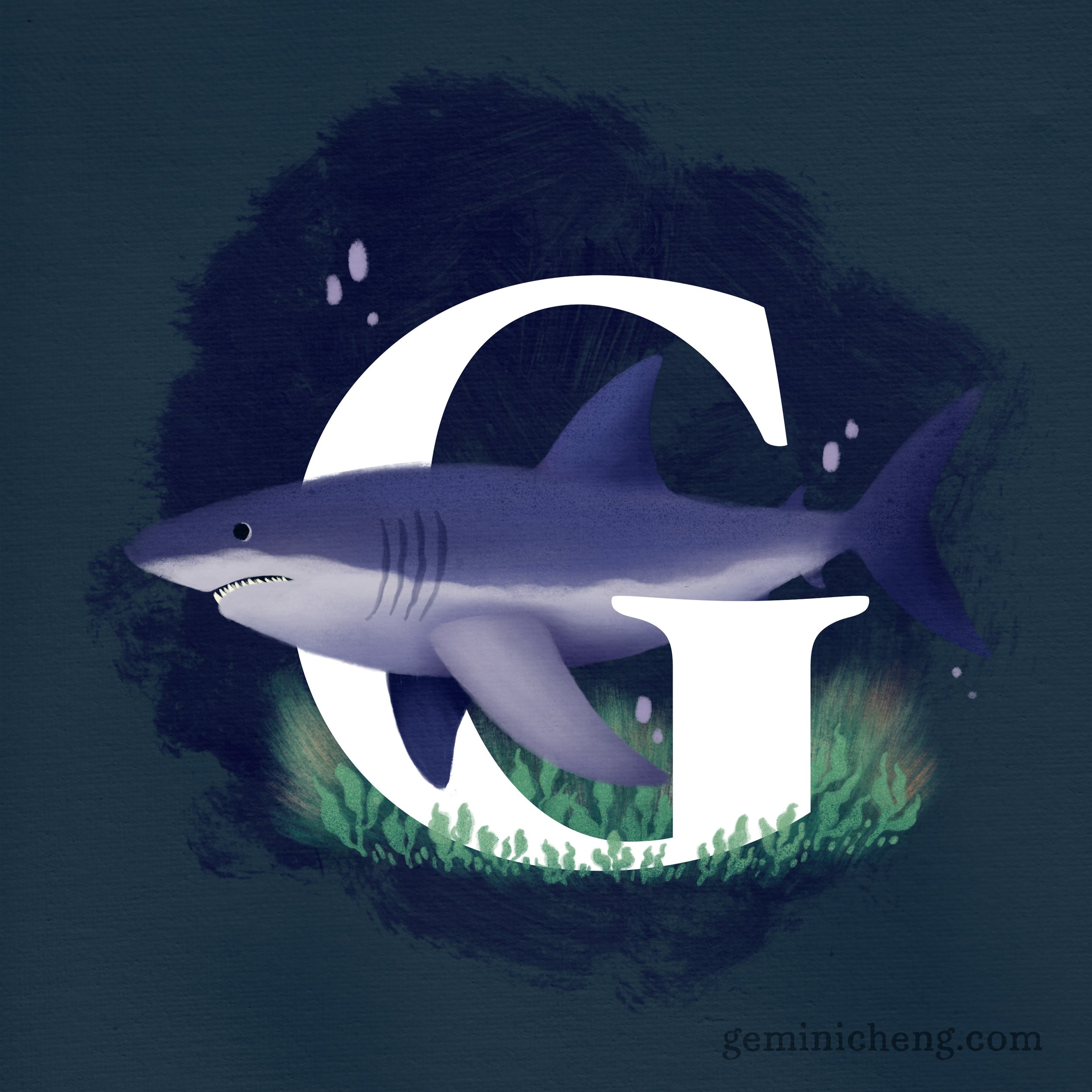 G for Great White Shark_1080.jpg