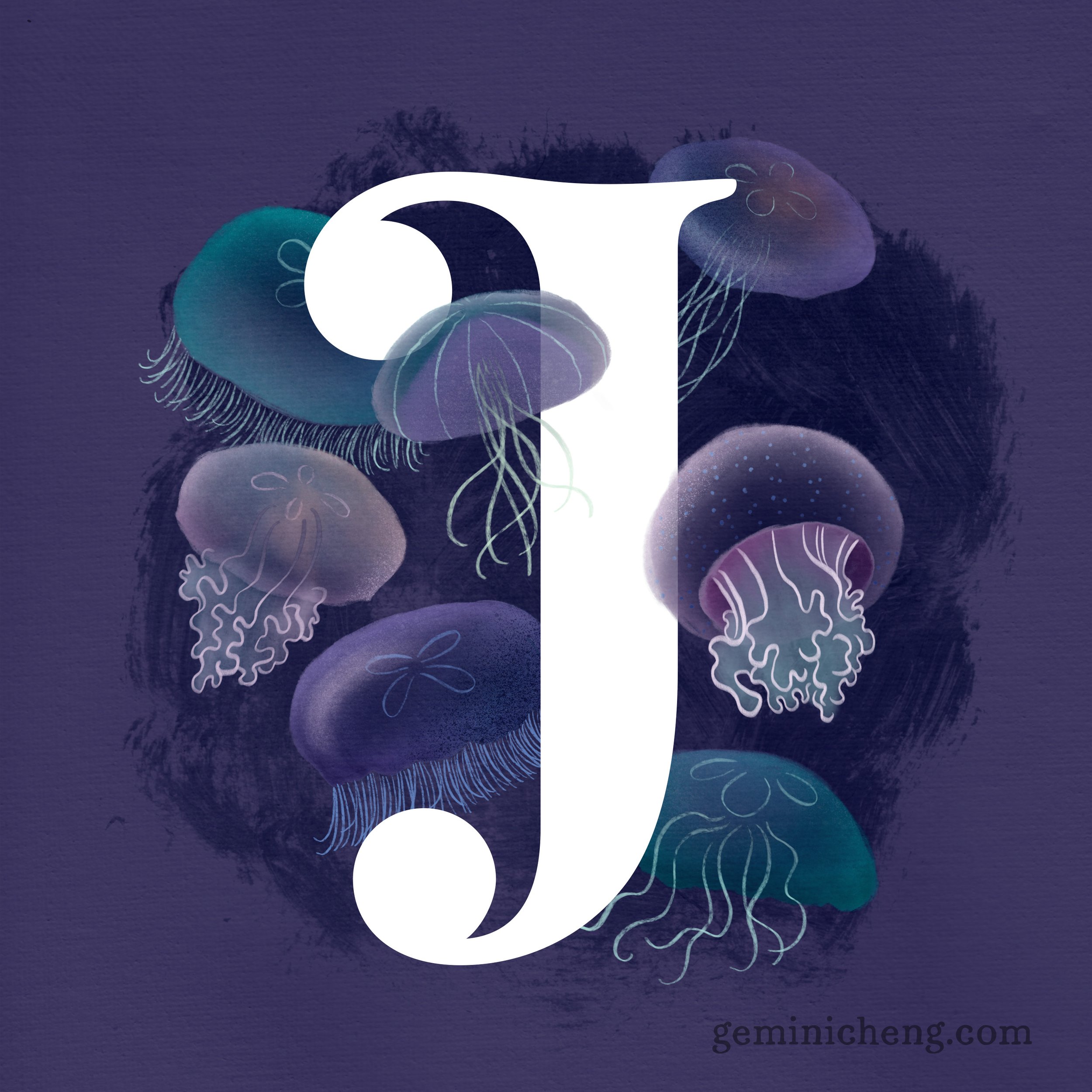J for Jellyfish_1080.jpg