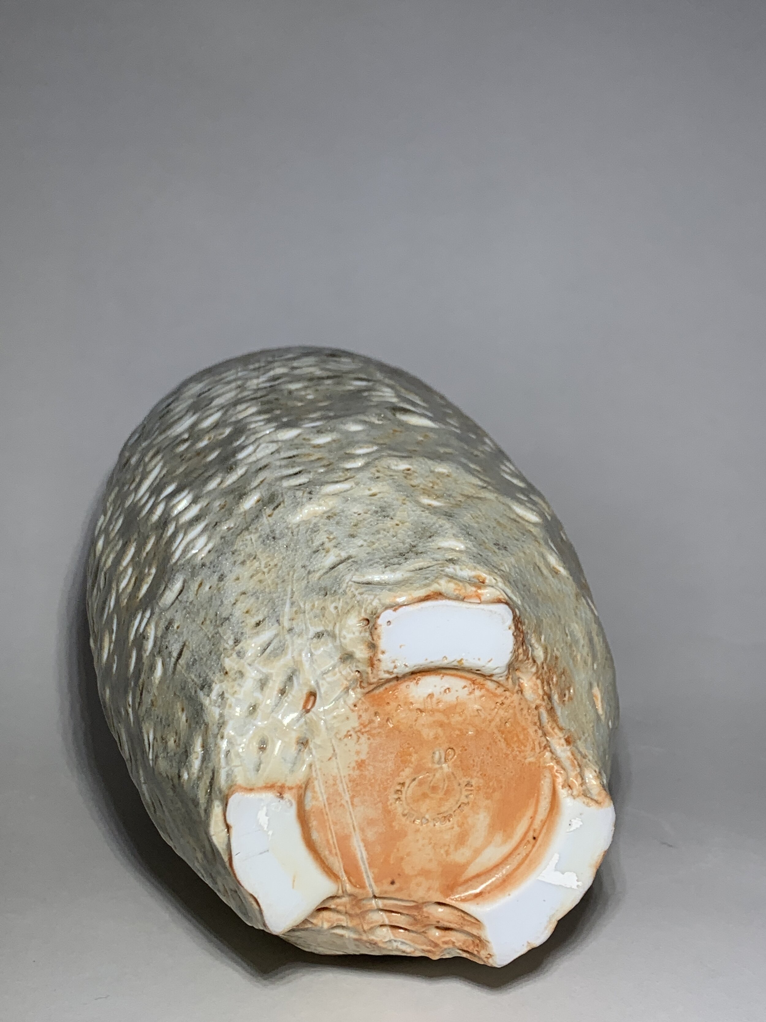 ADFCE5ED-6343-4E36-9E34-803E294A08D8