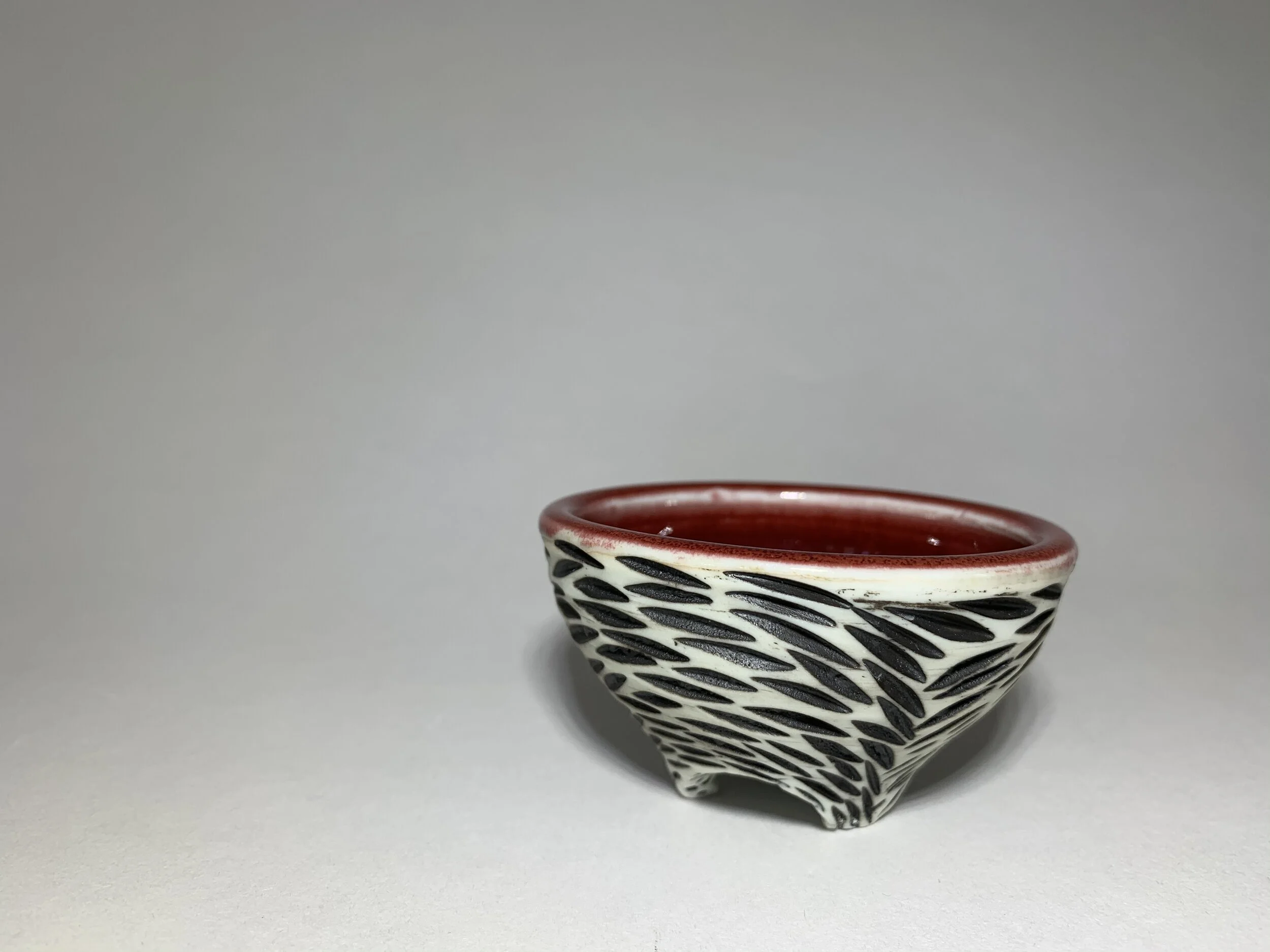 A2FE1AAA-74E7-4D4E-9C15-6BAACC3345DA