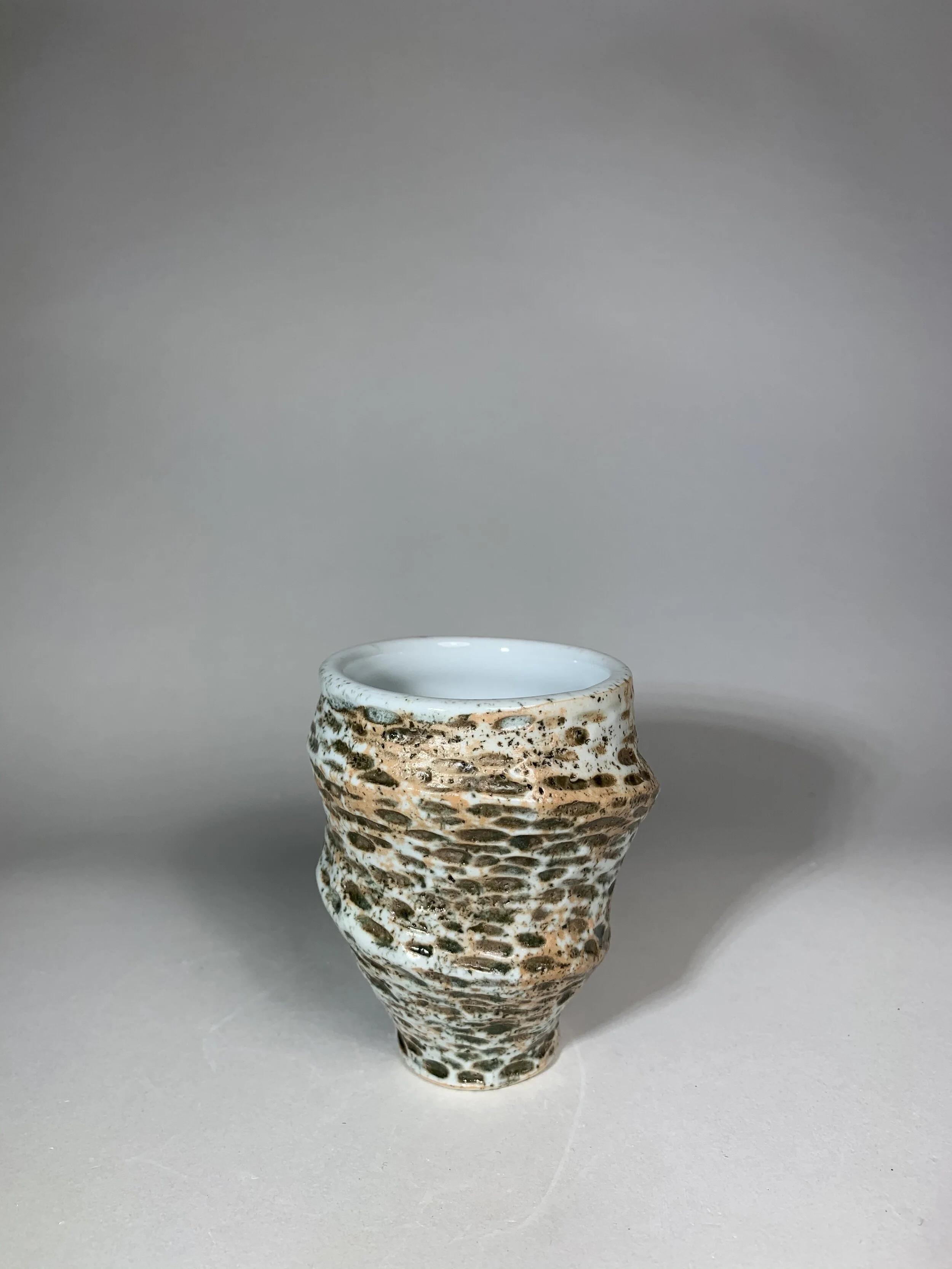 2F0E0248-B43F-4F55-A4E2-2D672D553D35