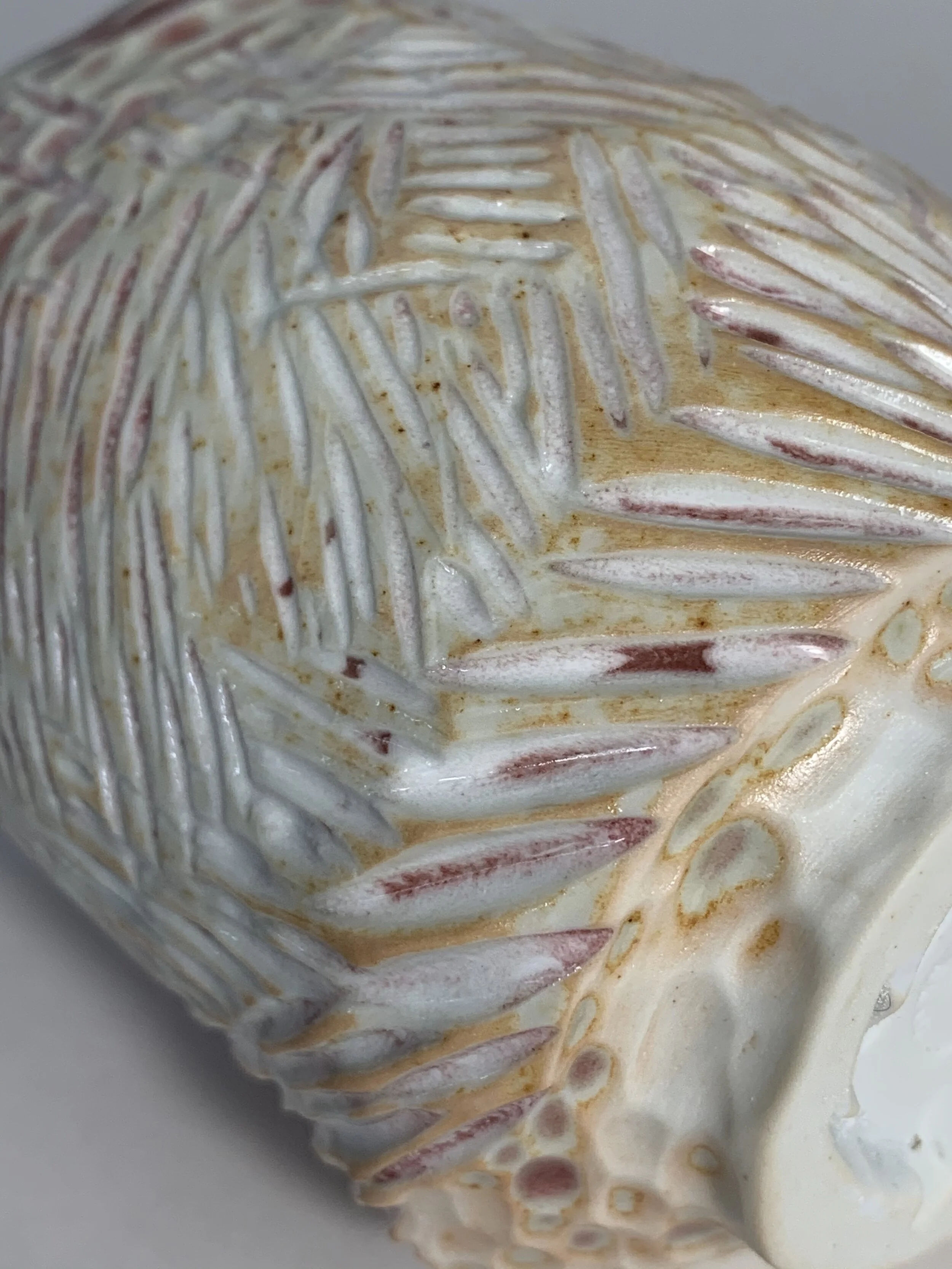 6AF8B01D-66B4-44FA-9335-6838FAEE0C2D