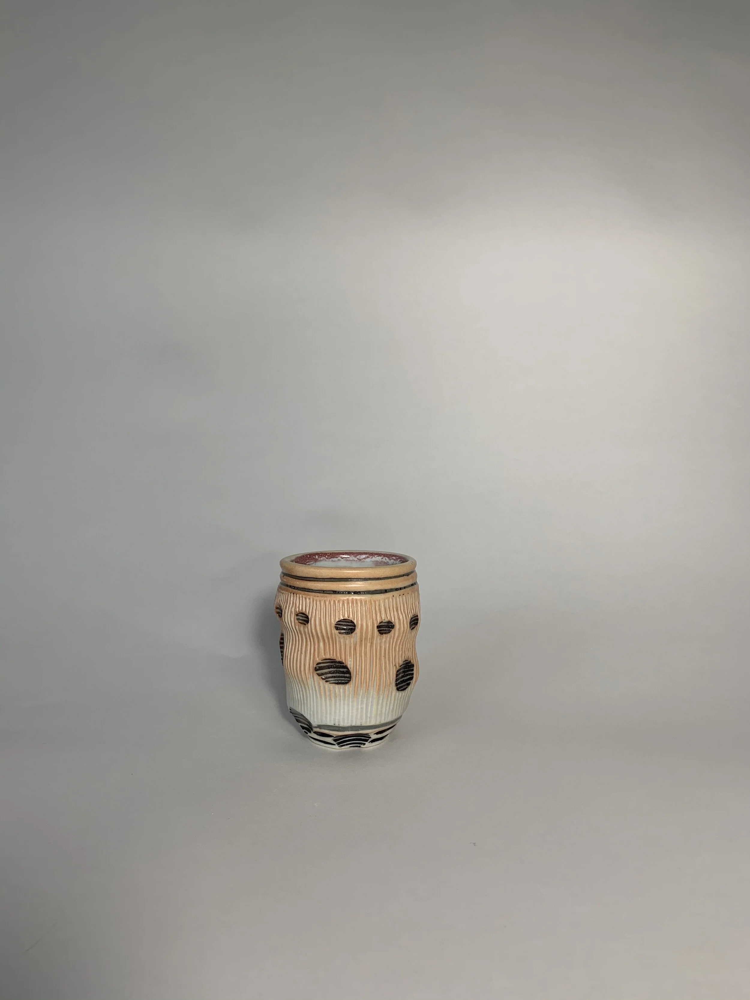 5BE93EEC-3919-440C-BA4A-845F5CF516DF