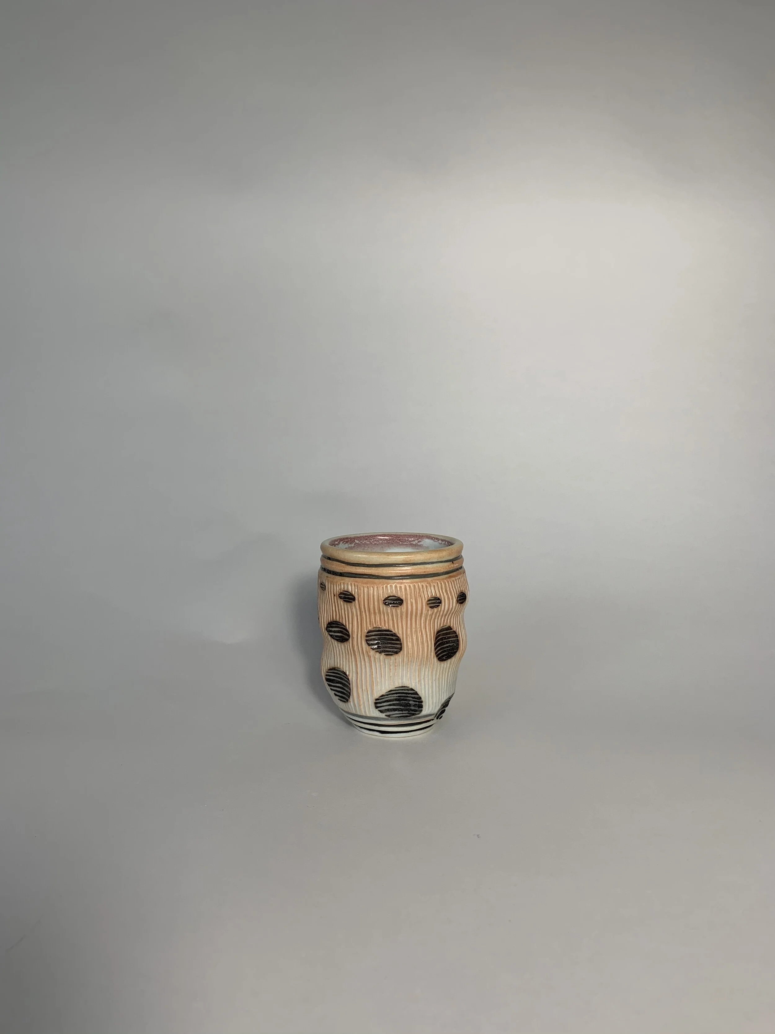 645816AF-B963-4EC7-A19F-301CABBCC046