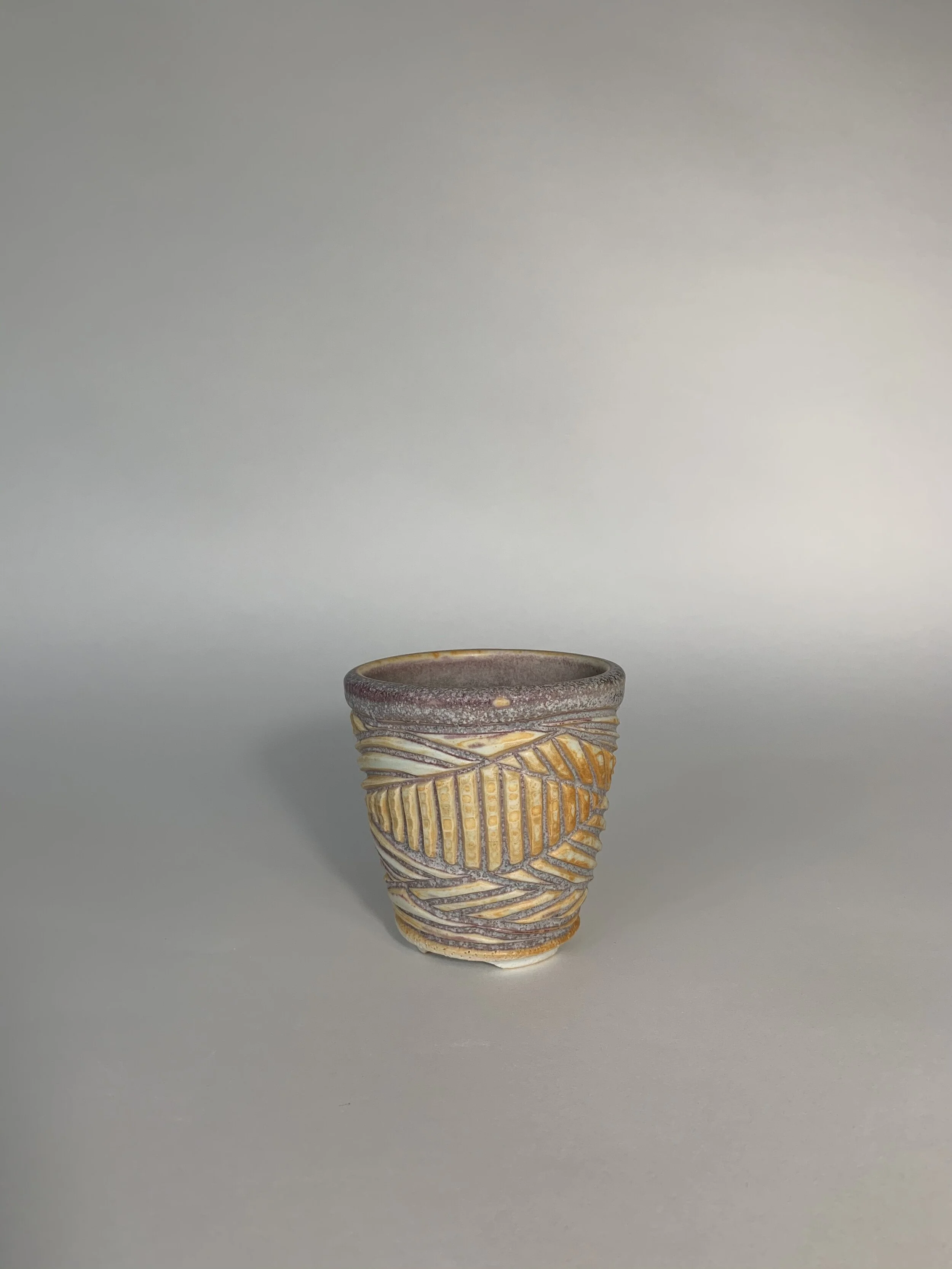 252768D7-498B-4F04-BCA9-611F51190123