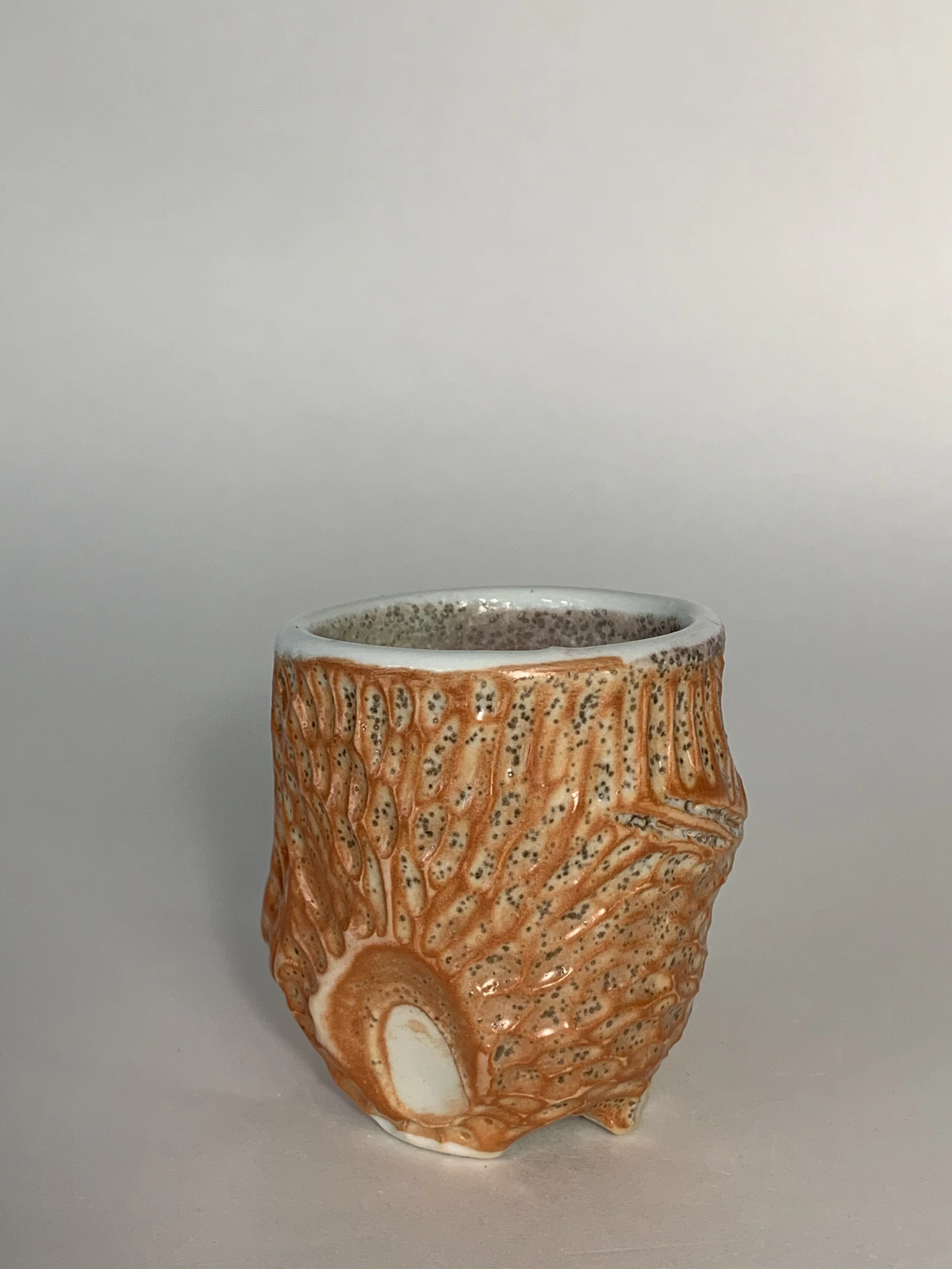 159717A6-CFC2-45E4-A7BF-E129557242C9