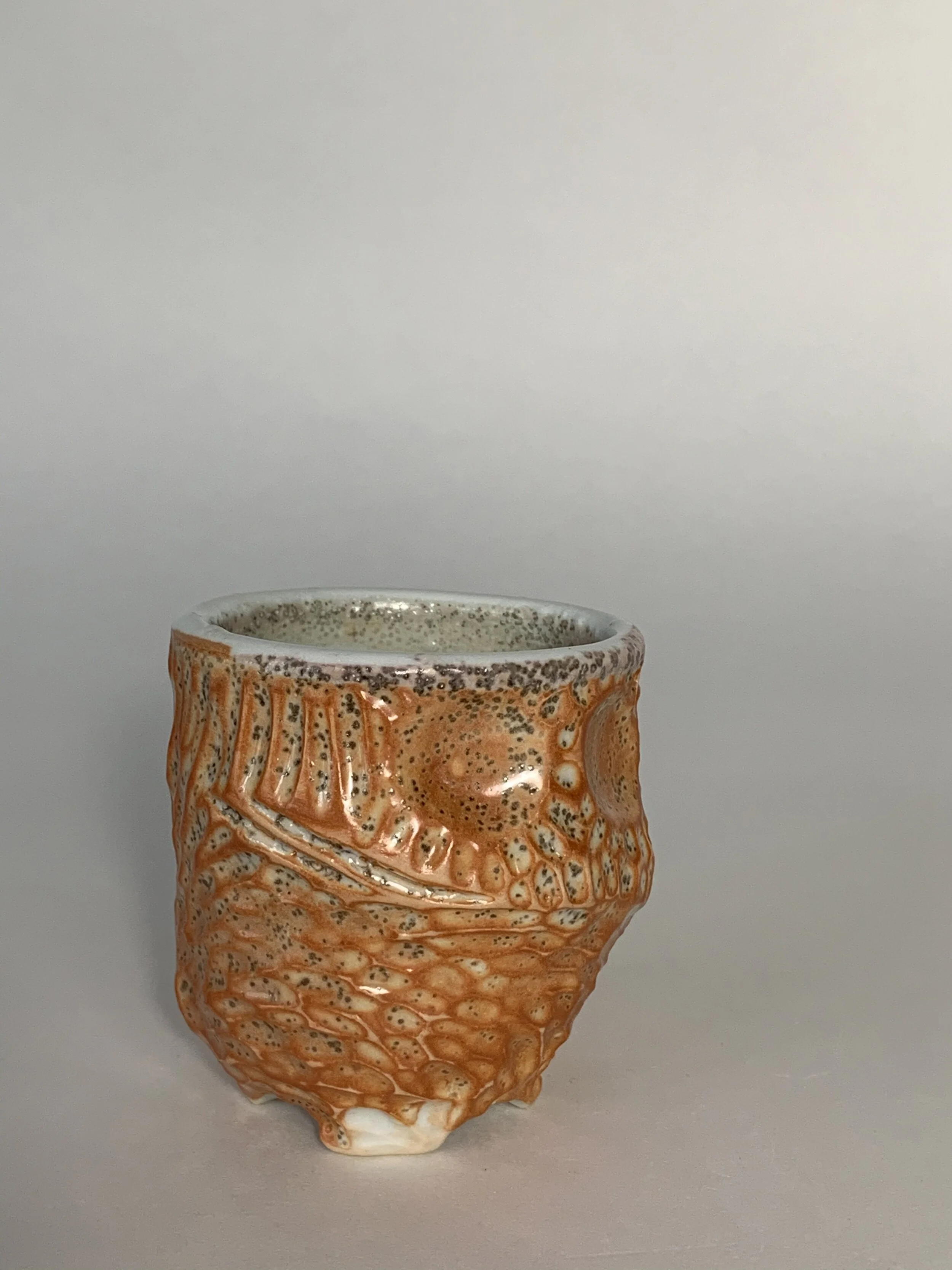 CDE90656-A483-4B4B-A0AB-931607F7CEE8