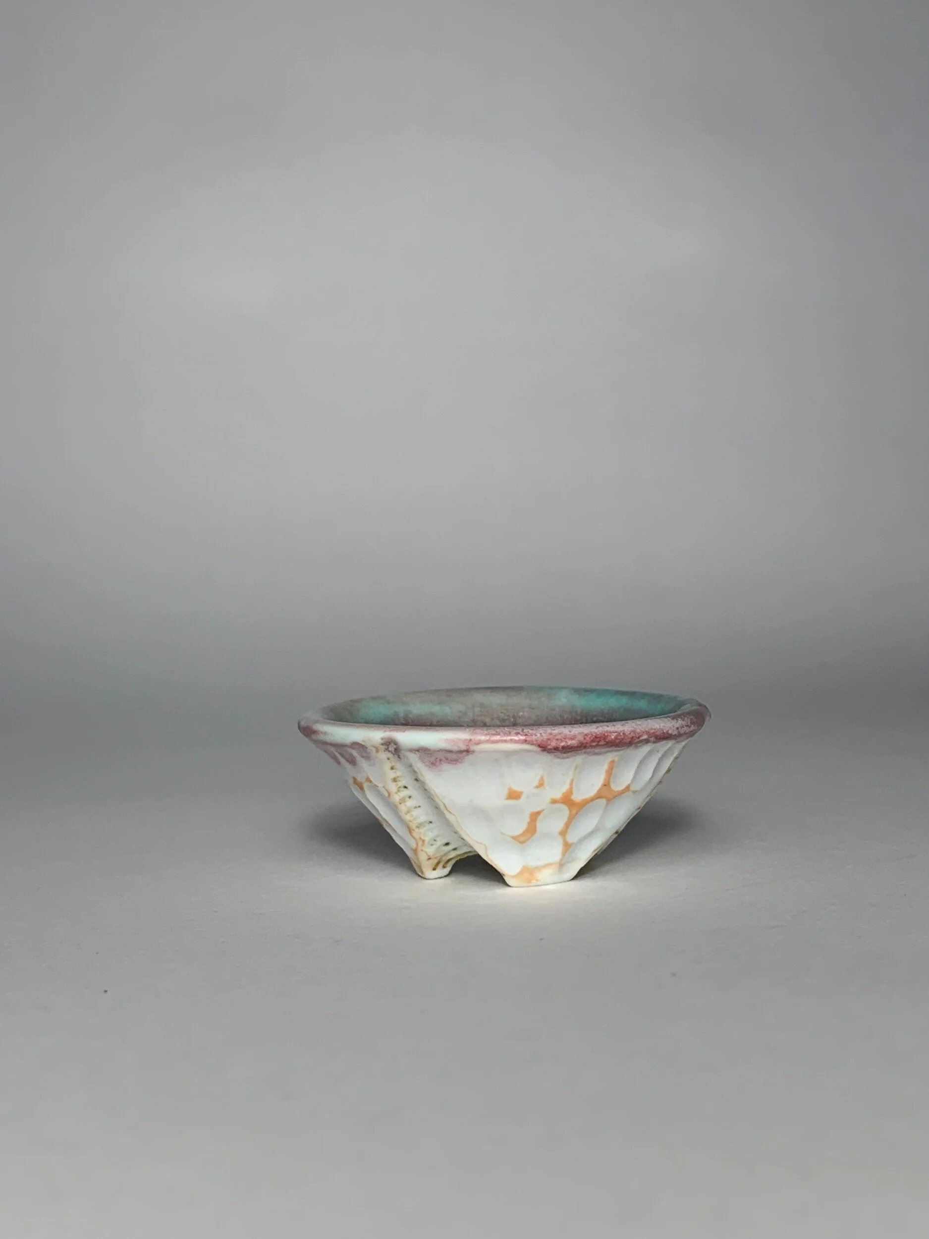 B1575A15-FE39-456F-996E-095AB262E904