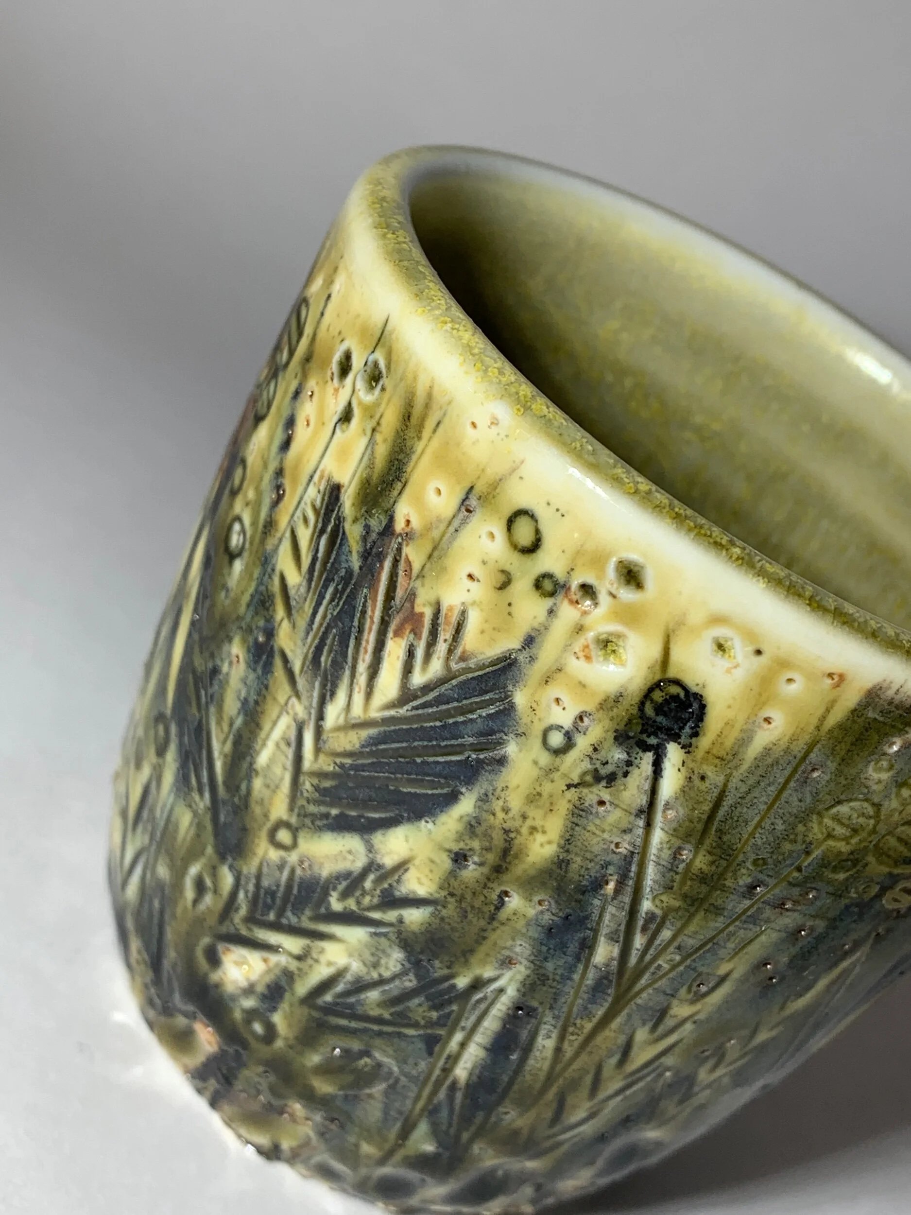 1C9FF845-E0E3-41F2-8F7D-BBEE95B2B399