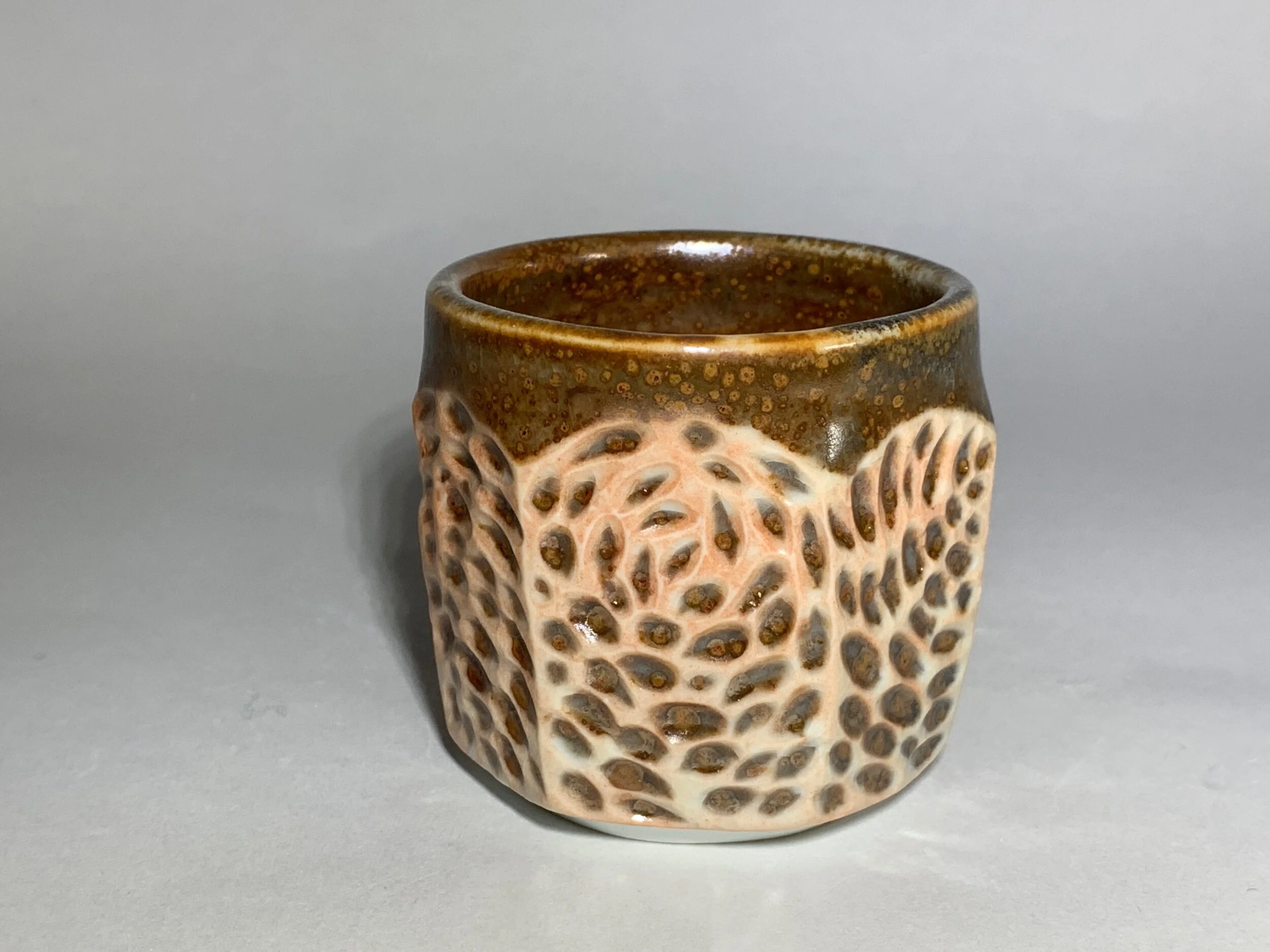 A0D017FF-CF27-4522-8DCE-E6A228CA409C