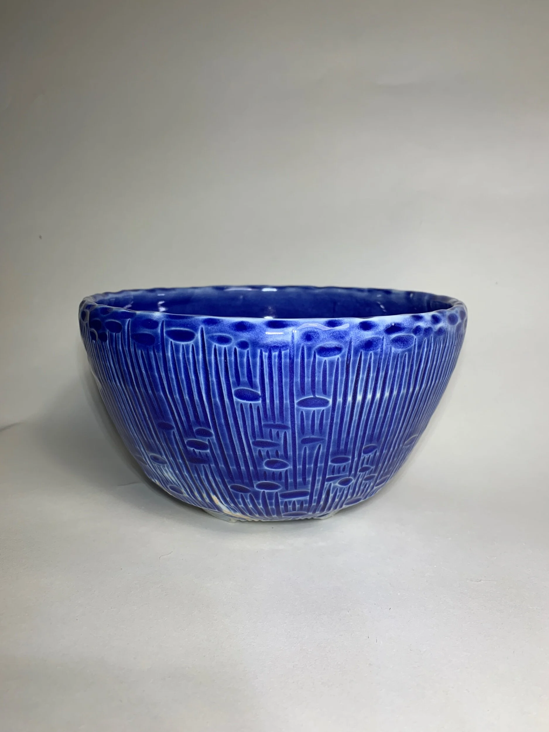 570AC539-AD60-4EAD-8CE9-D1DA62E1298E