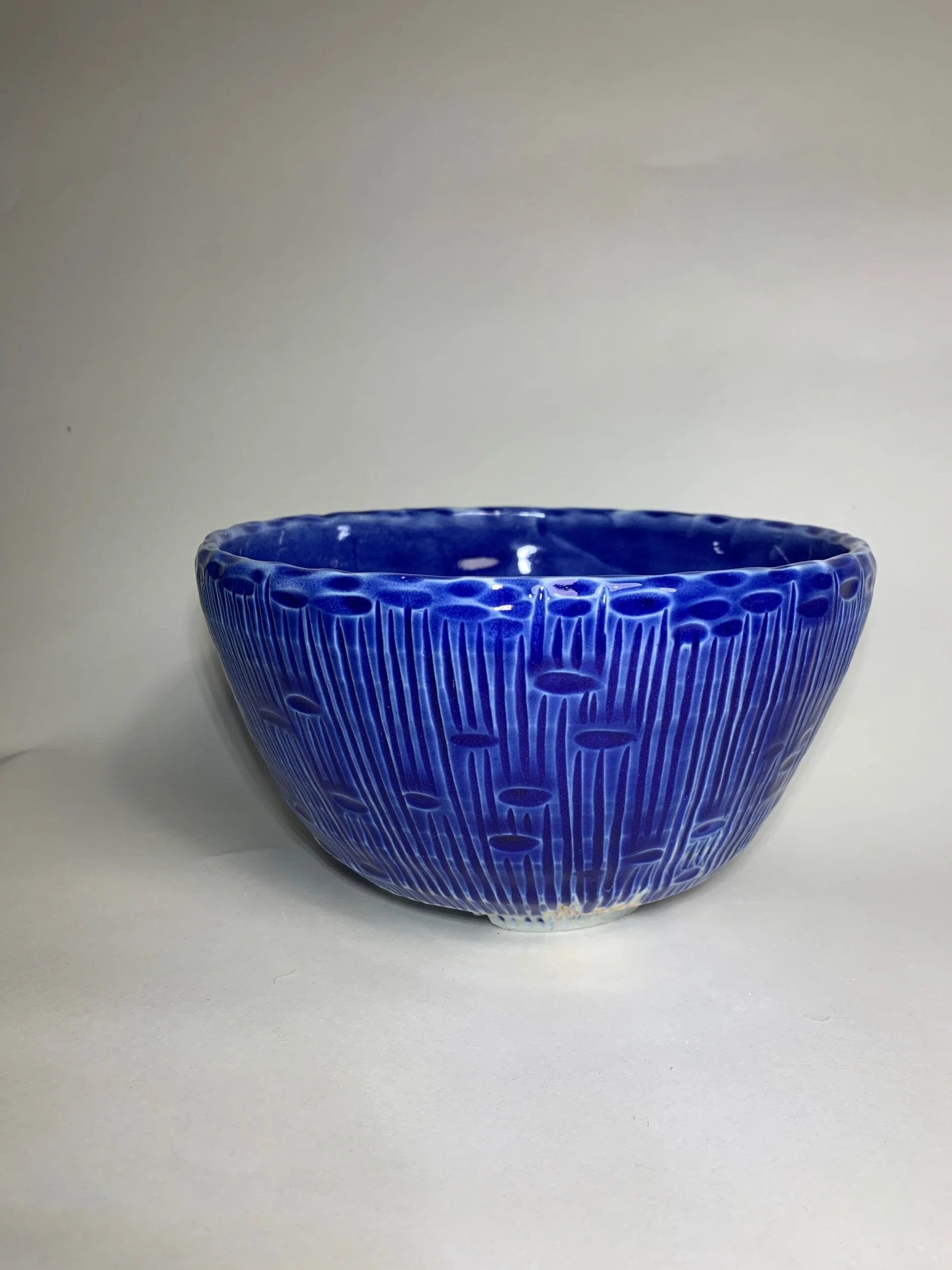 1FBF5A13-42F4-4D05-AA15-D12BF22599A5