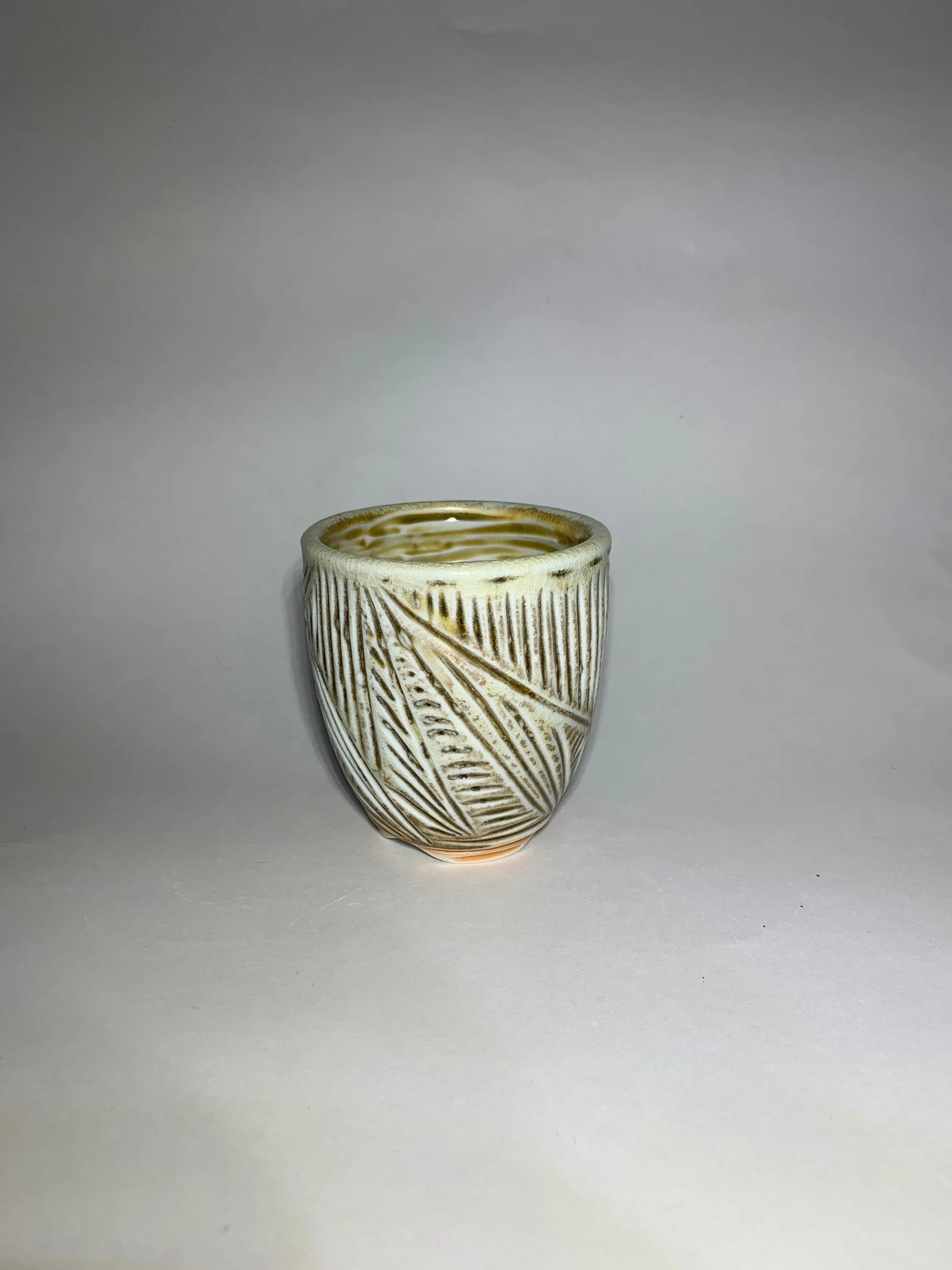 F6EA0A67-637B-4157-B9BB-12B607A674EC