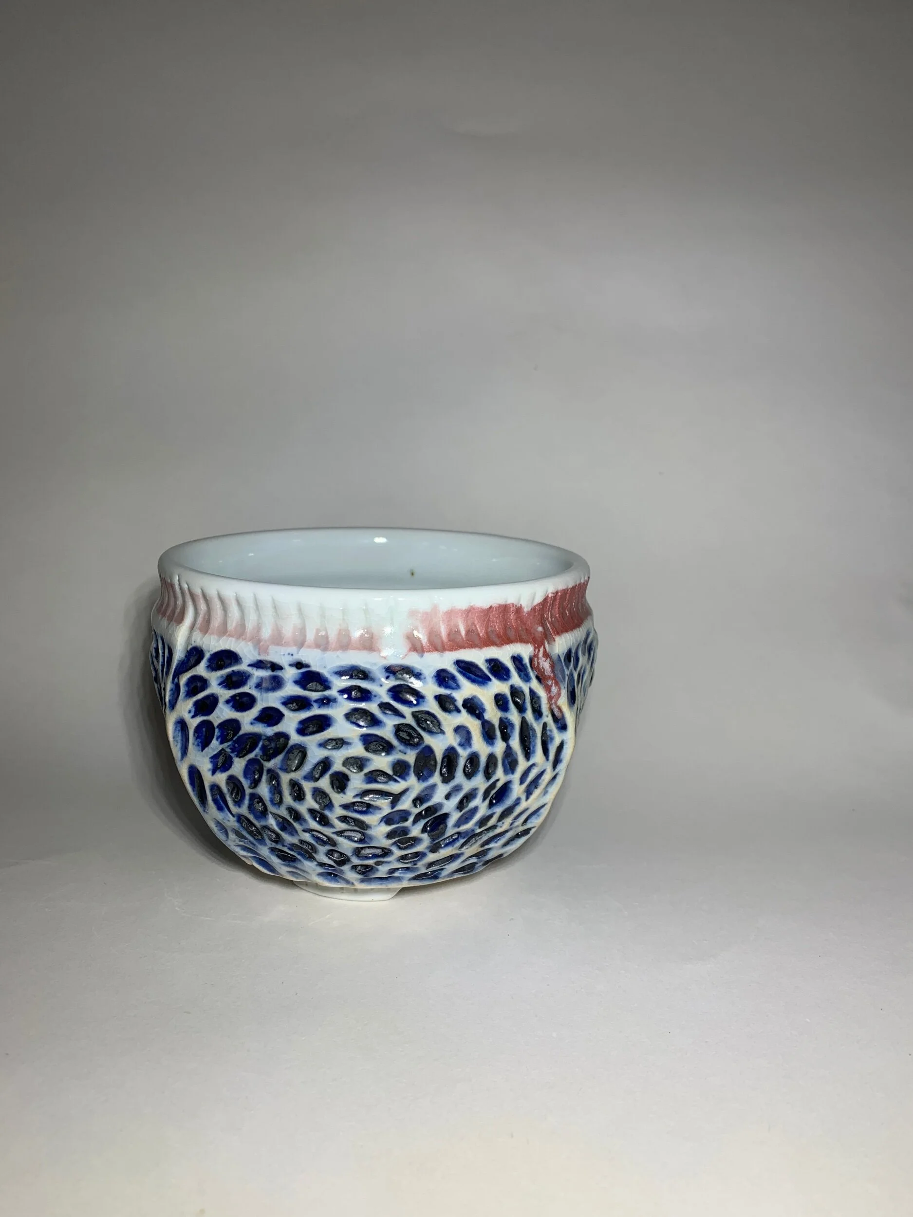 851BA5D3-6665-40FC-A8AE-C0A92822EA5A