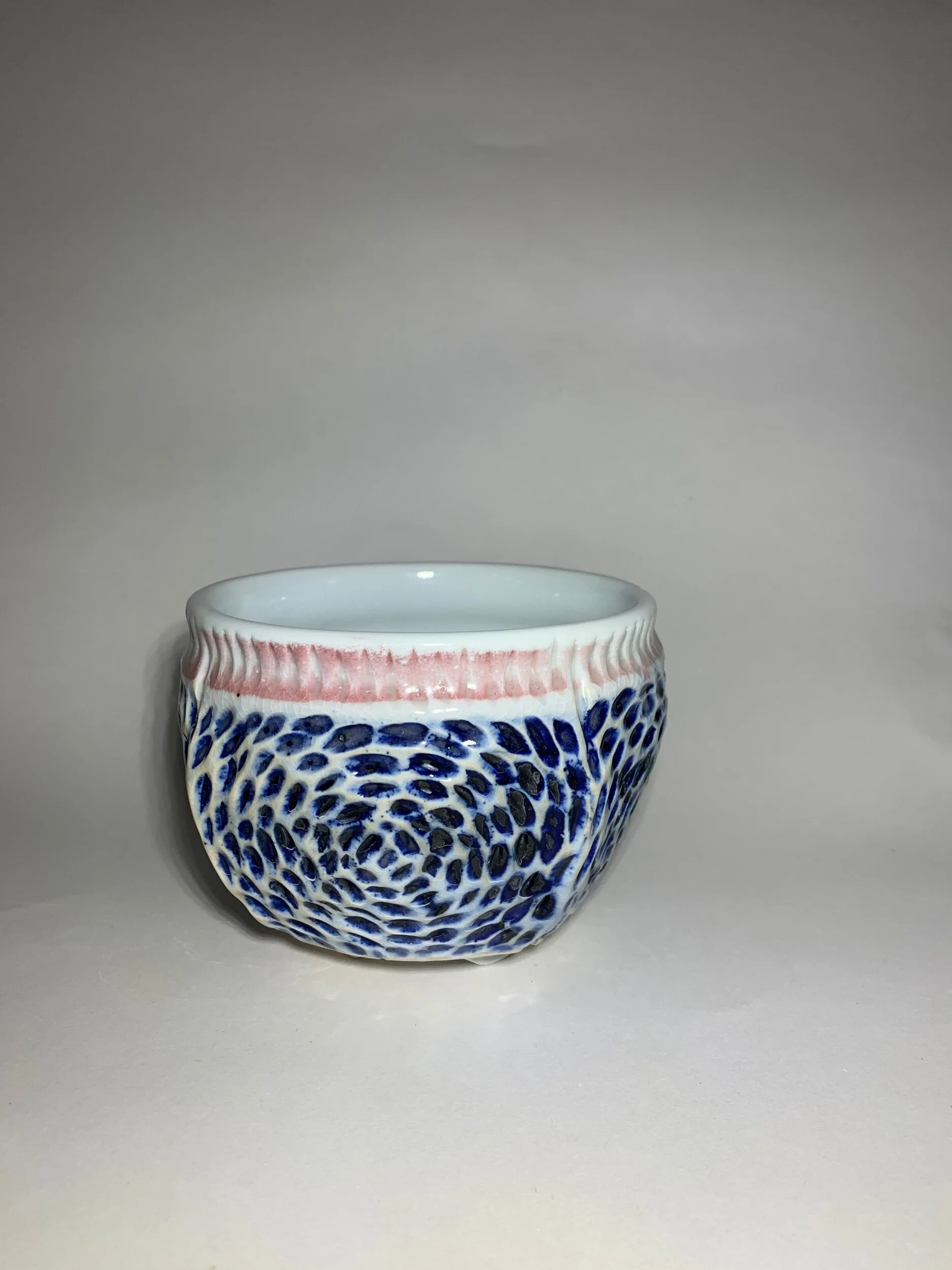 EF1EC24F-8C93-4244-BAEA-0D65F7855194