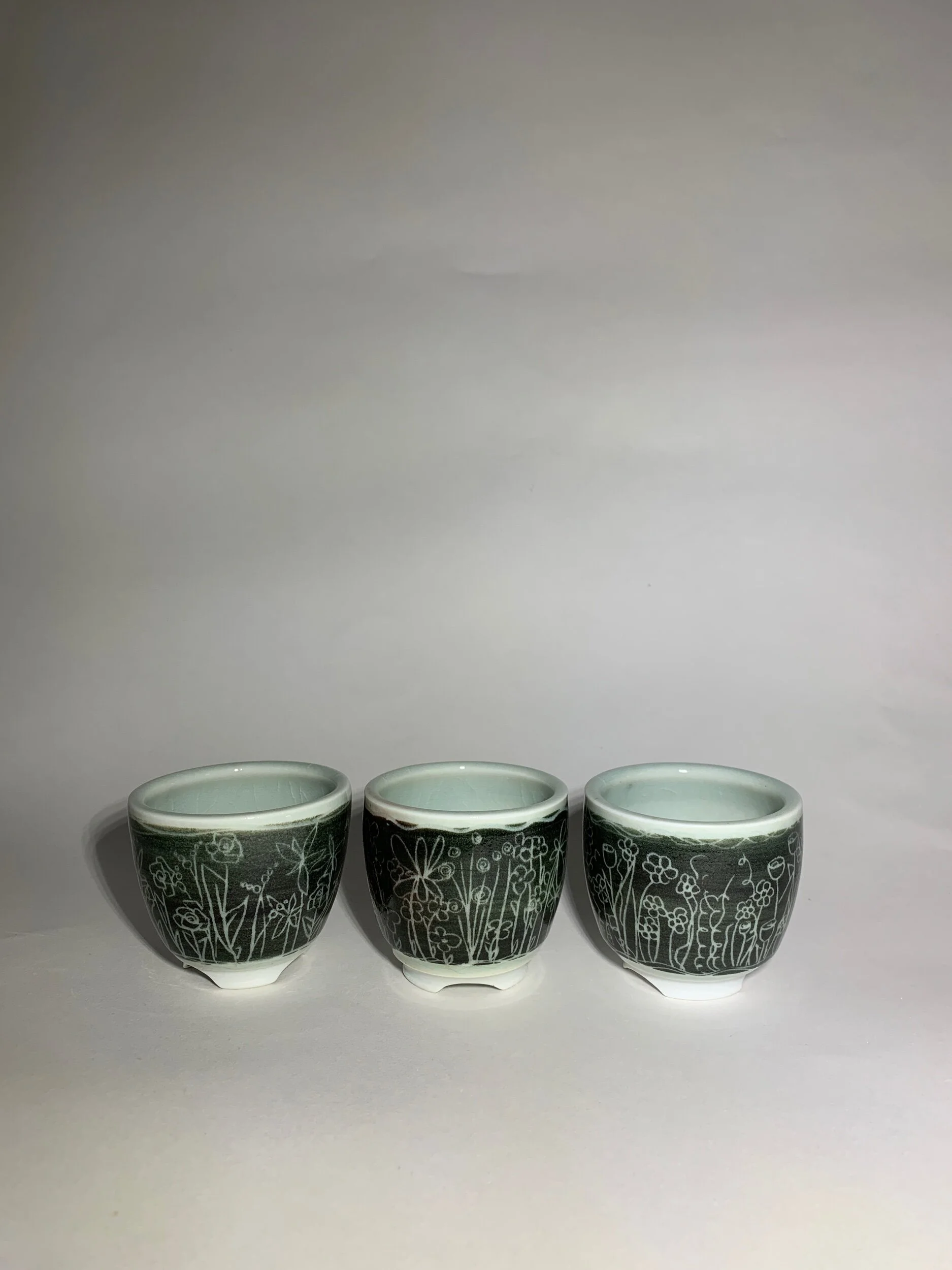 48493A4E-C486-4CFE-B563-E13EC7CDDAC2