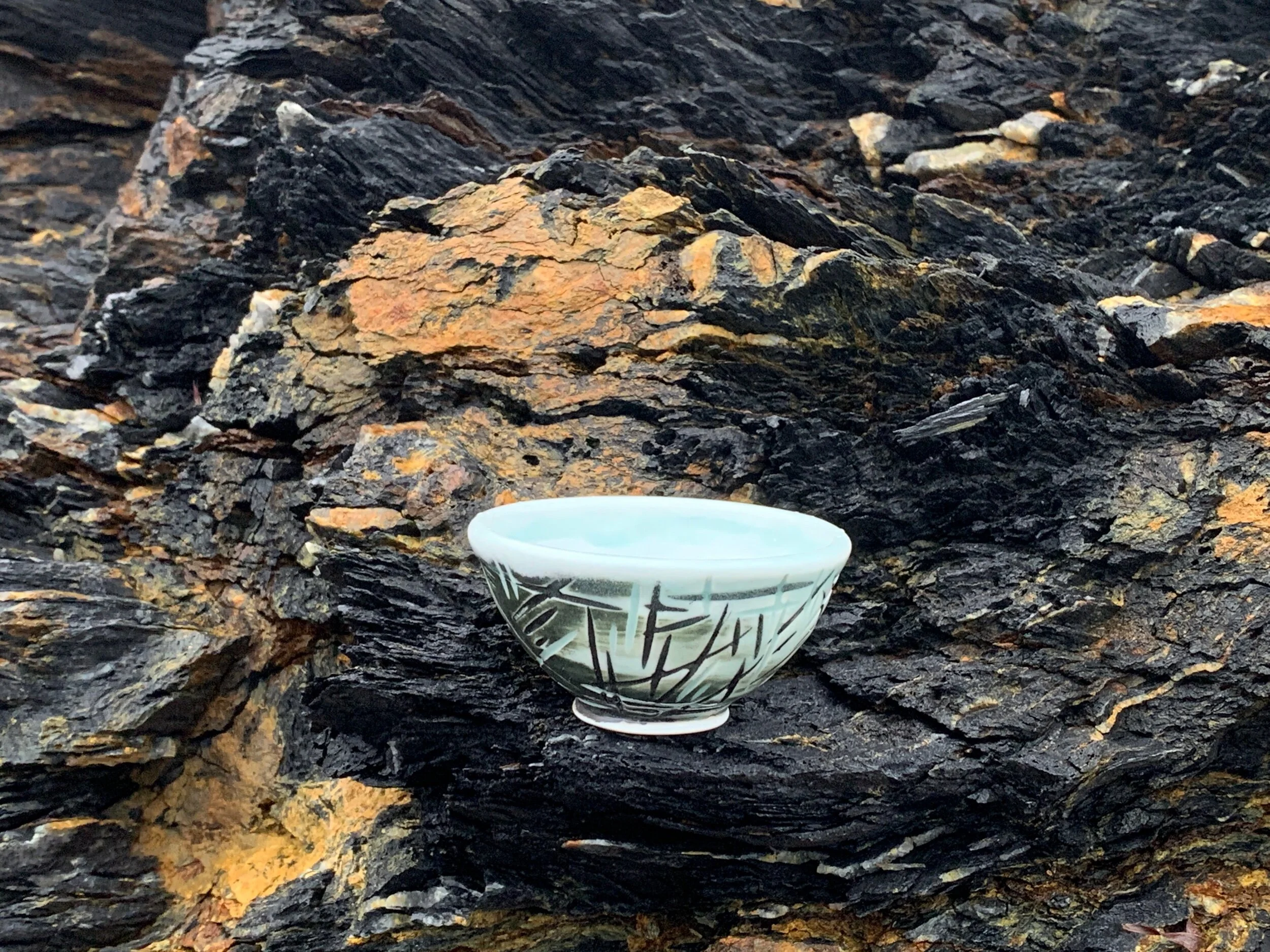 67265BD0-D1CC-4930-827F-F187F160195A