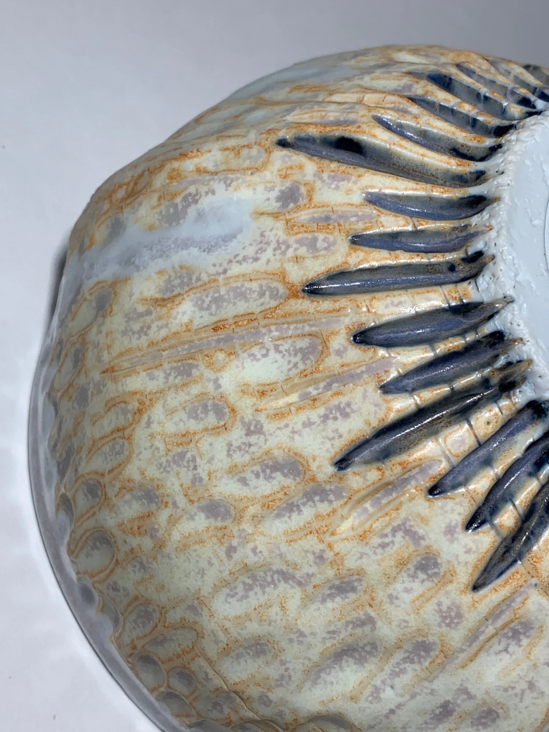 15FDEF6A-99C5-48B4-8A7A-EA0A573923B1