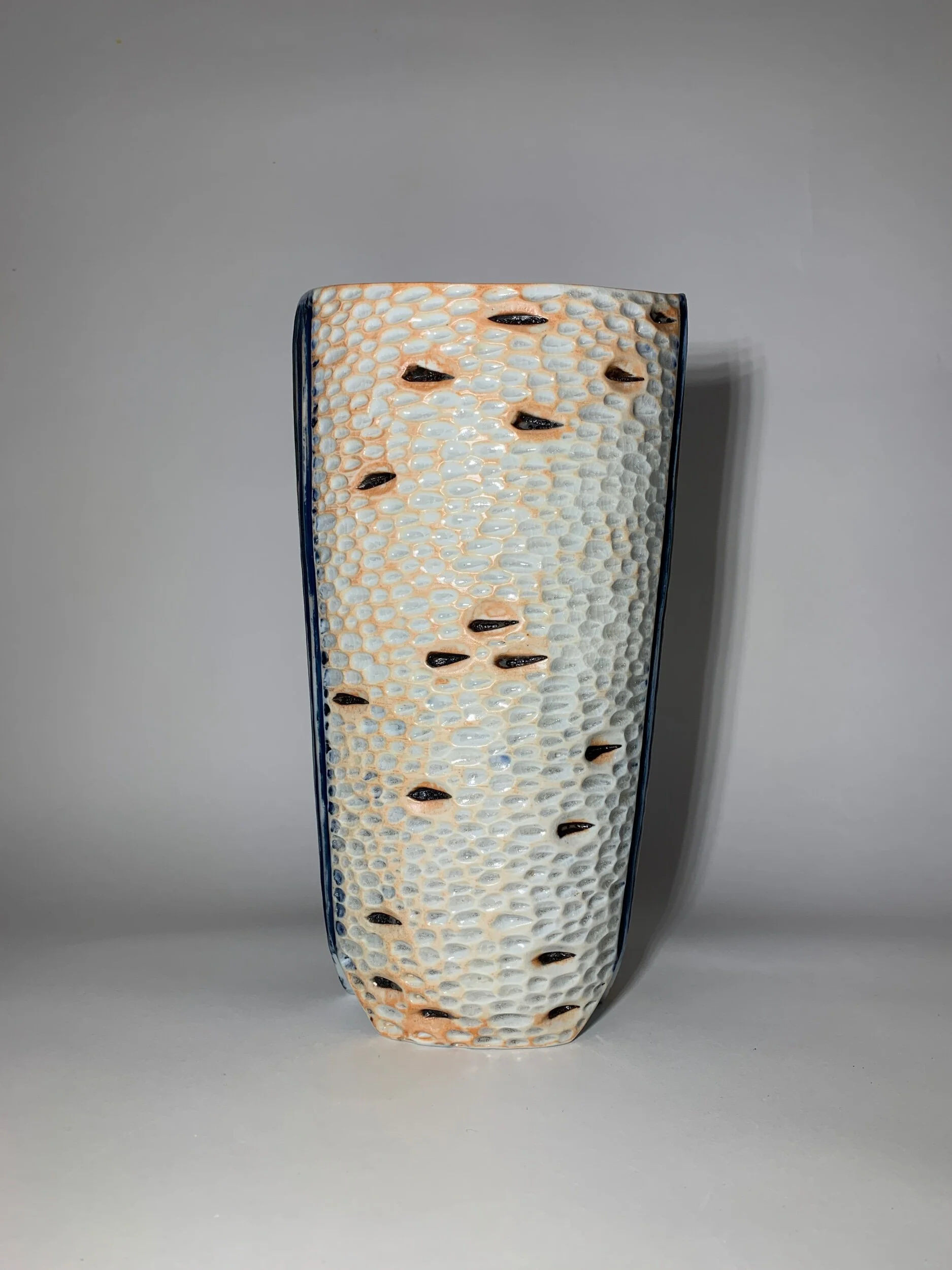 5E6BDAF1-6CCD-4950-9DED-BE57492C23DD