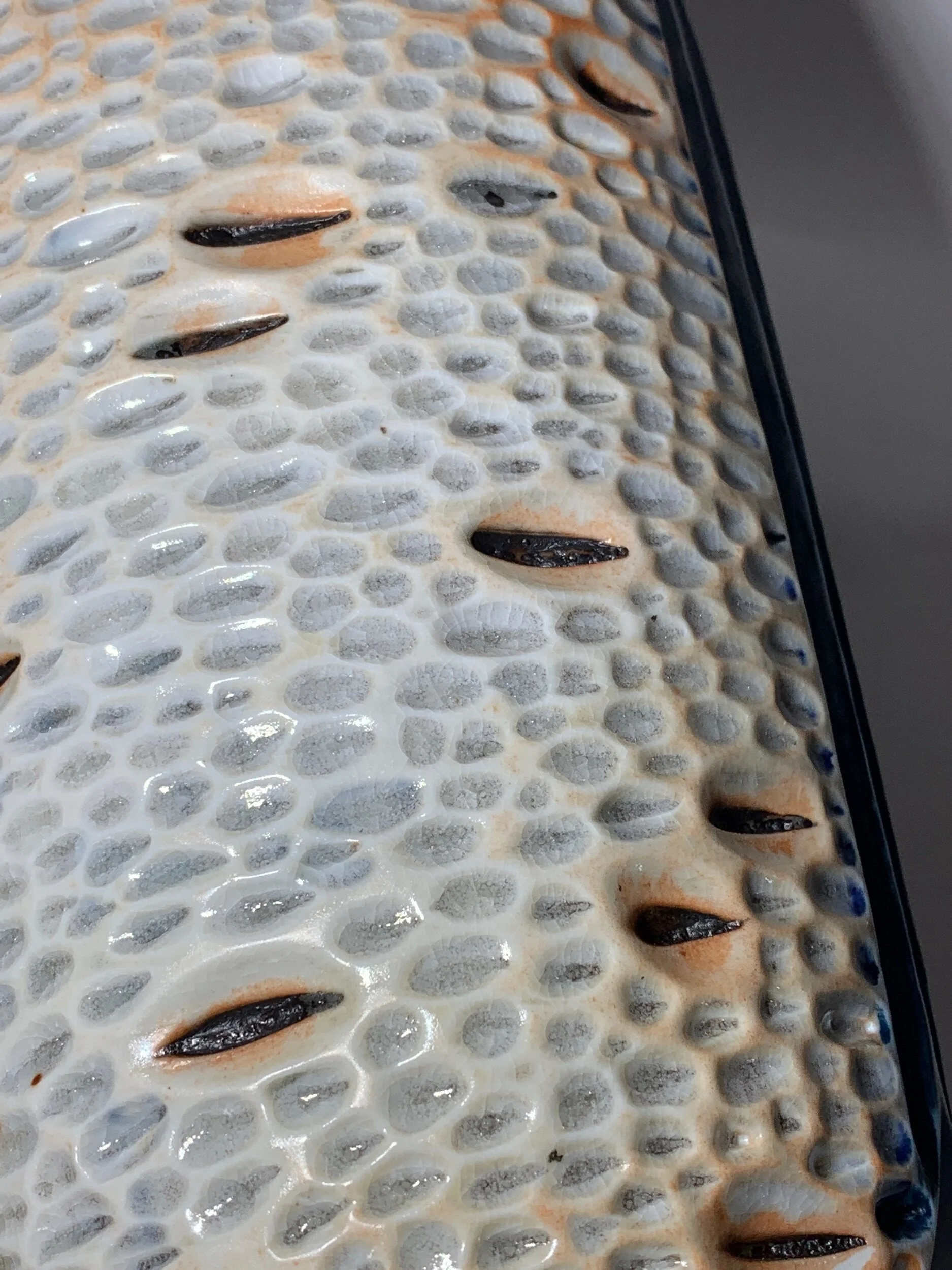 F46E6277-9F9B-40DB-BD5C-9C8B5266F695