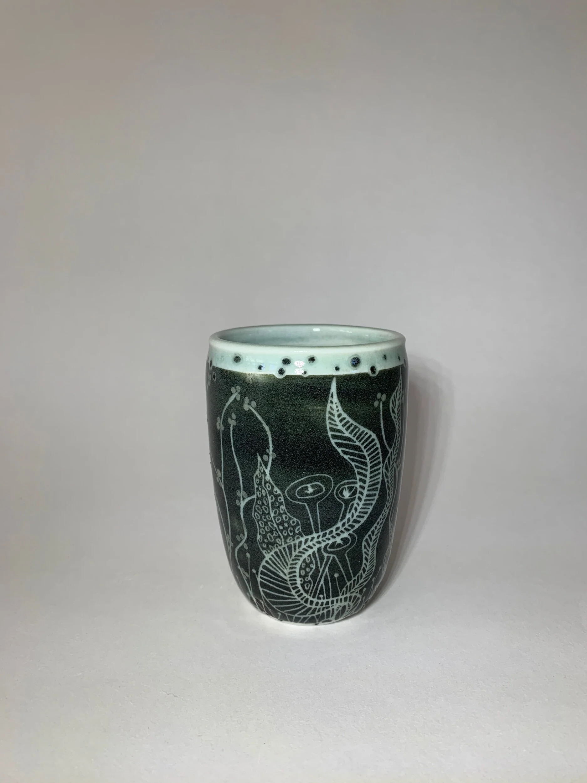 31E1CF1F-408E-41D9-81BA-879DC2FBC207