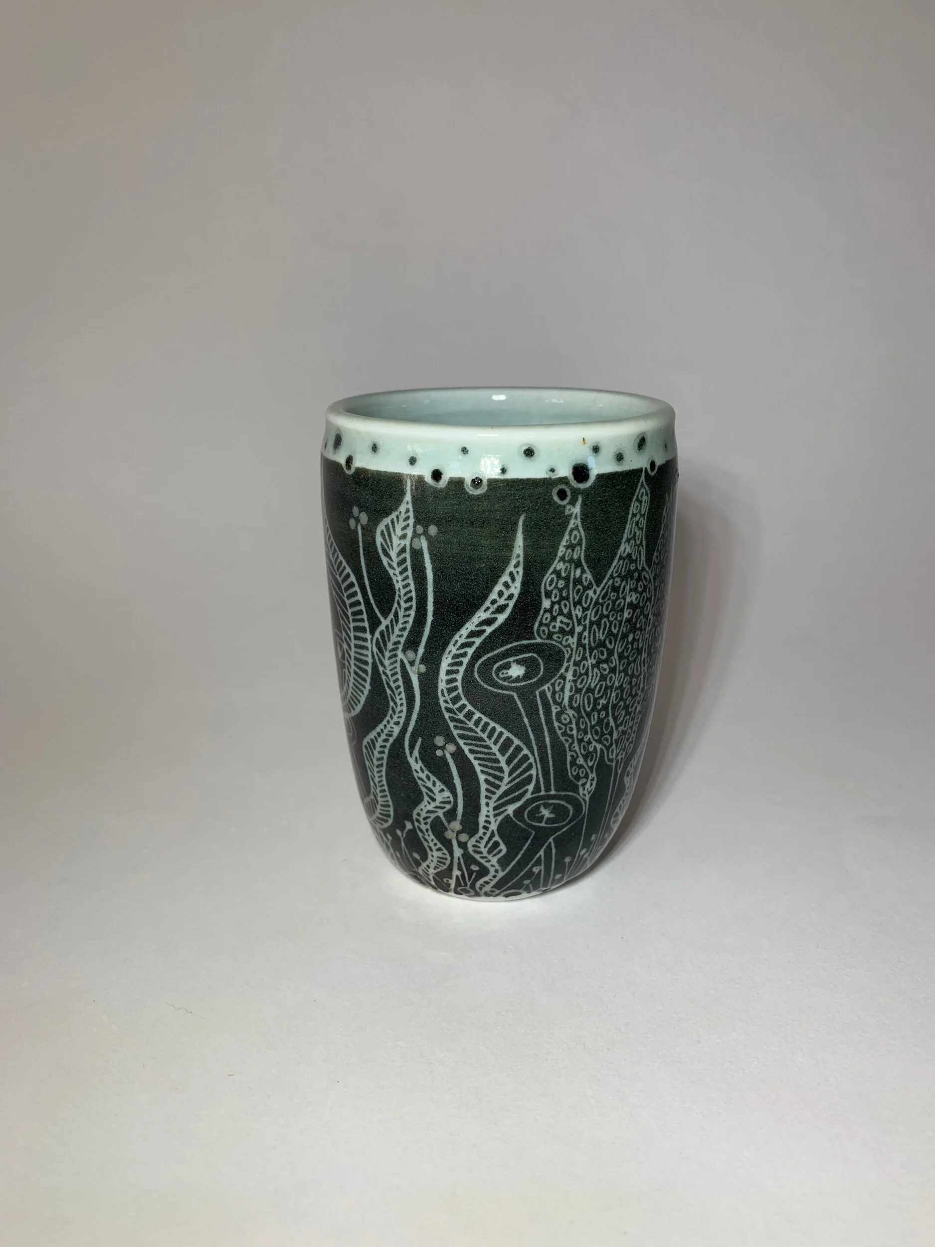 AEB92A7F-101F-45B0-AB1D-C7EA4F303919