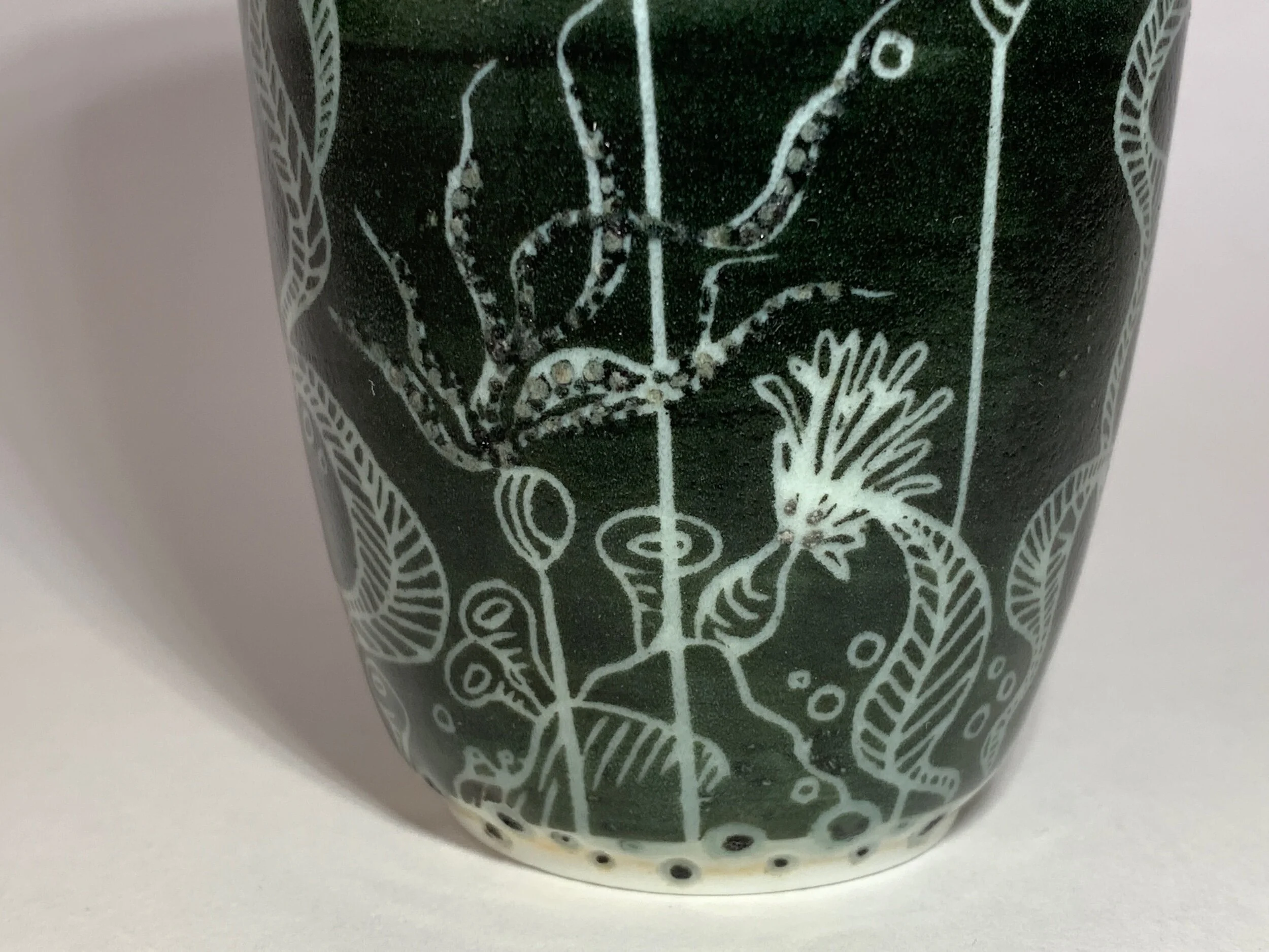 5D8CE64C-2BBD-4A62-8072-9FC547CC3DC3