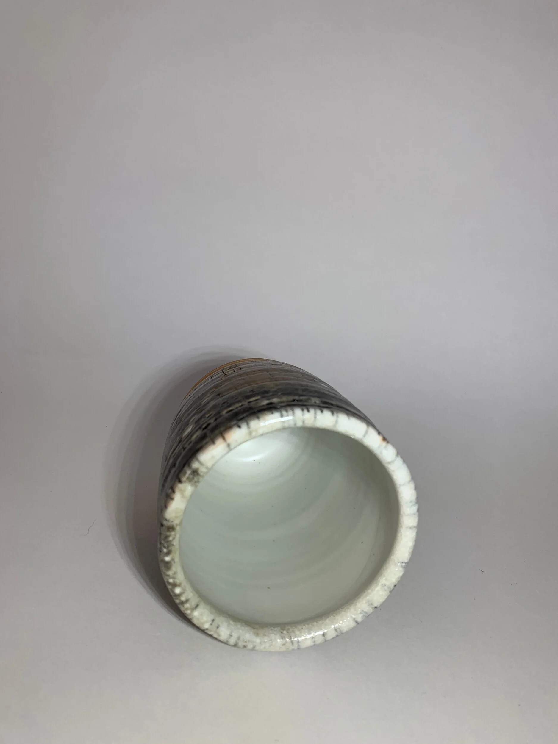 F16082A8-EAAB-49F3-86CB-E53C999F354F