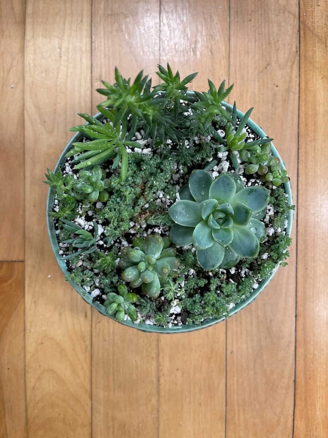 D473CA86-BECB-4023-A2CF-DA06DDA44BA8