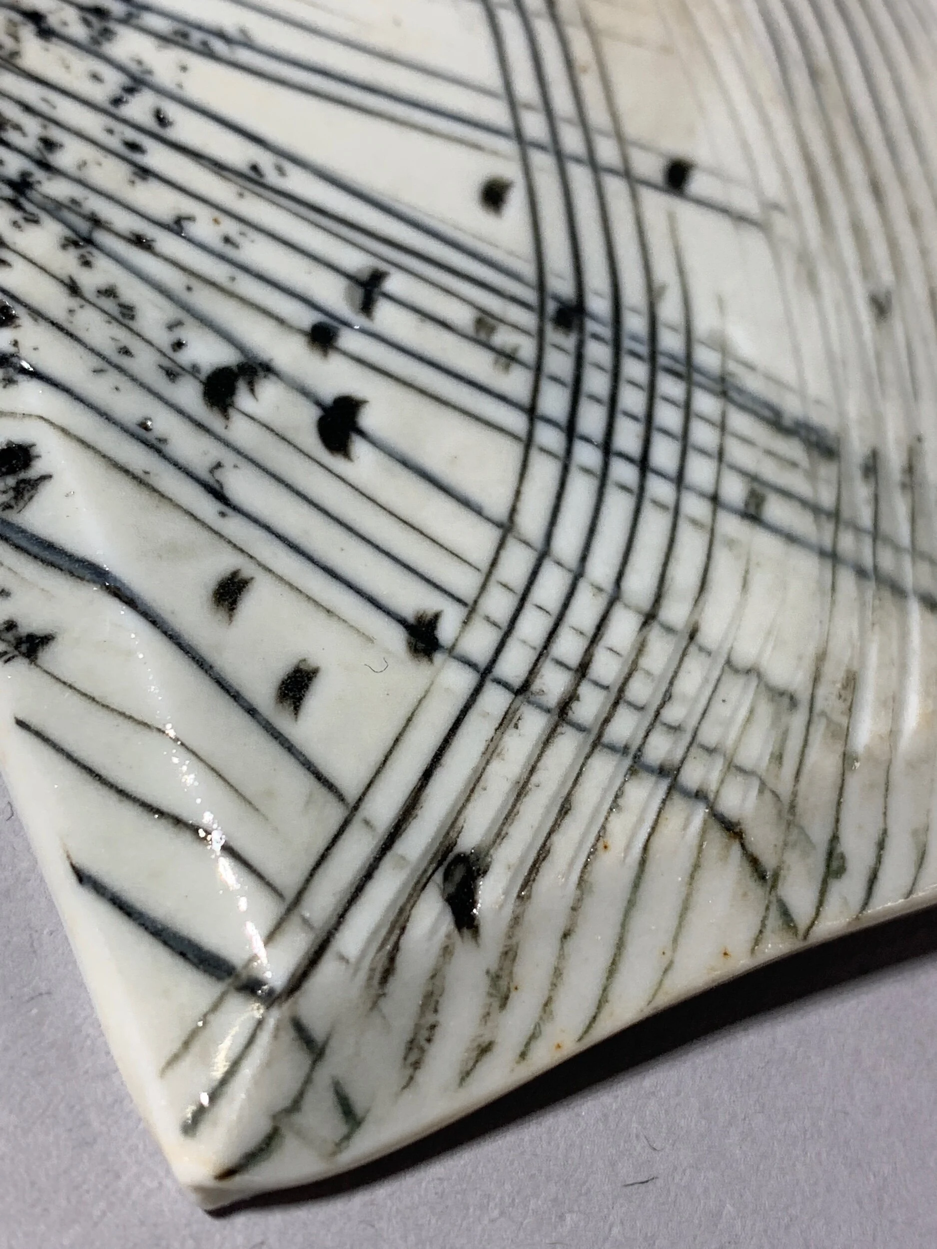 DF893D19-BBC8-4B1B-BB86-21217D0BF0F1