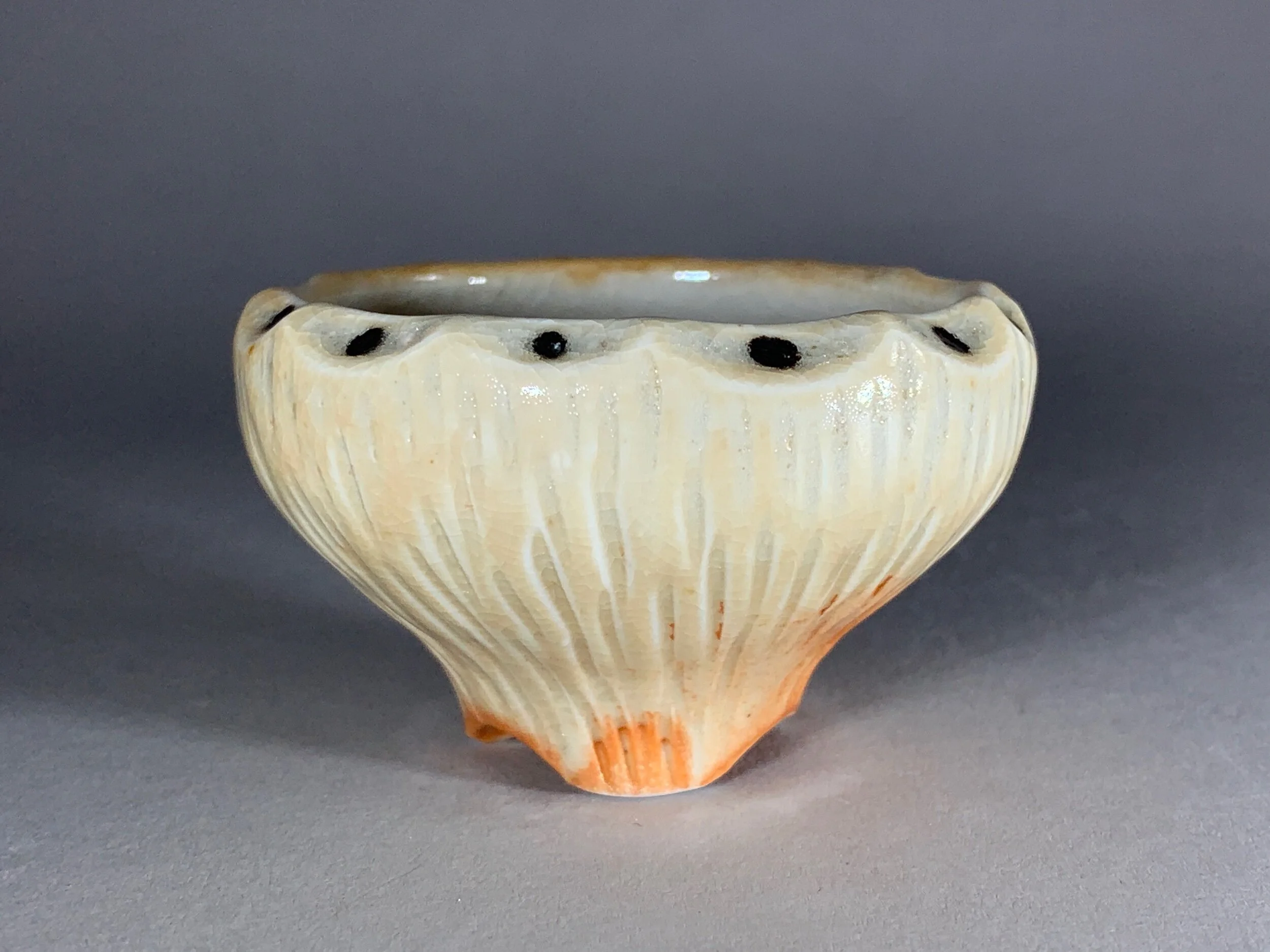 C8E5A0F9-CD5C-40D4-9CA6-1AAD79A4F587