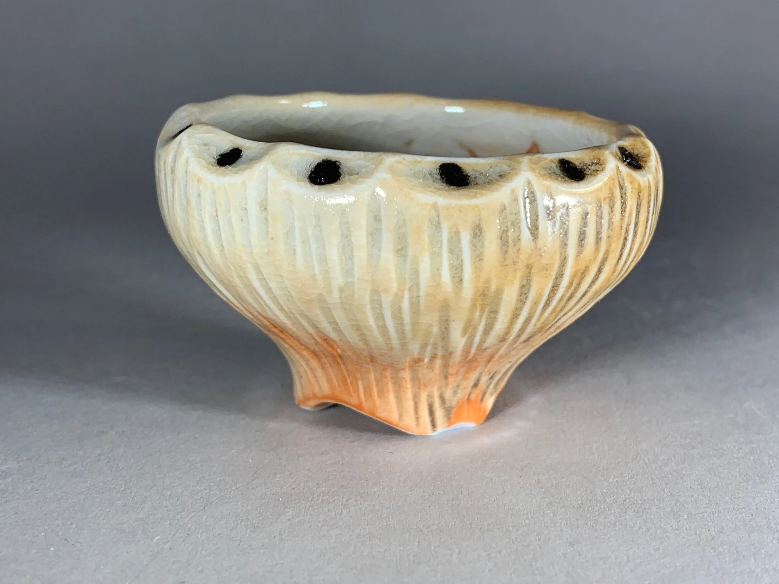 E9A82254-D023-4EFE-A023-91ADC3B857EE