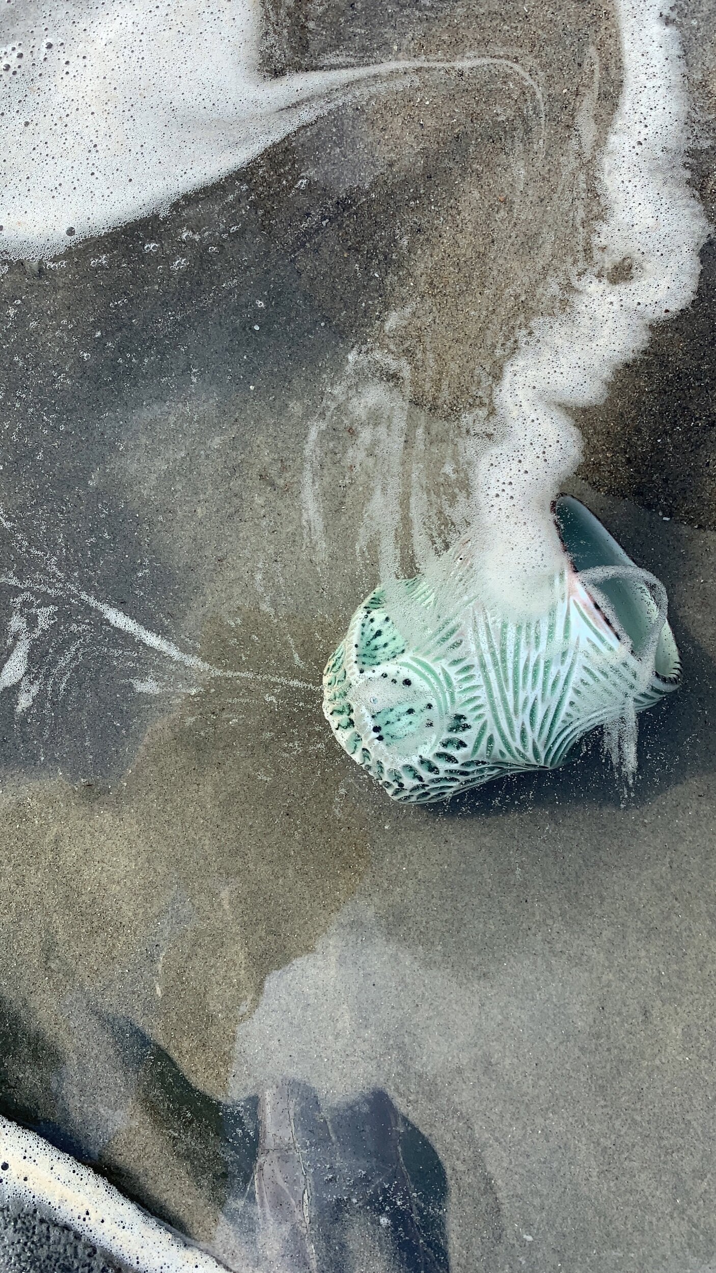 1953957C-34F9-488C-98A6-CC1E93BBDE05