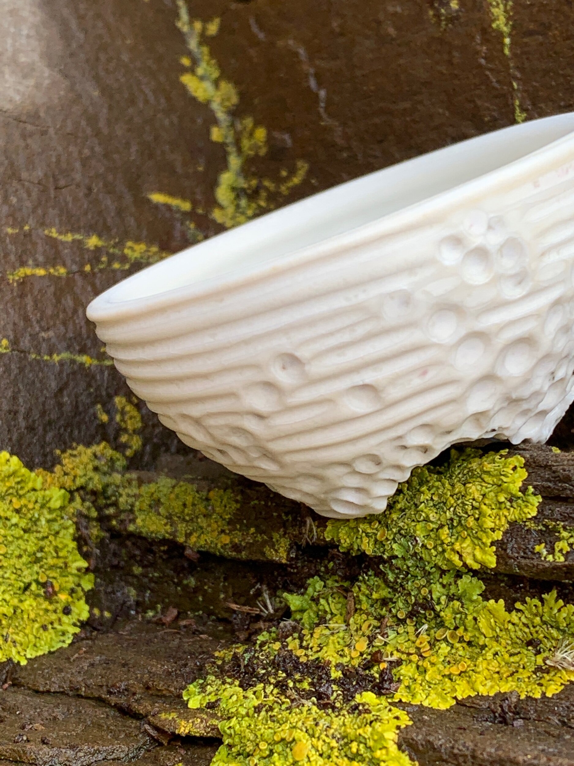 488D76DF-CA9D-4525-BE51-53F555E8989C