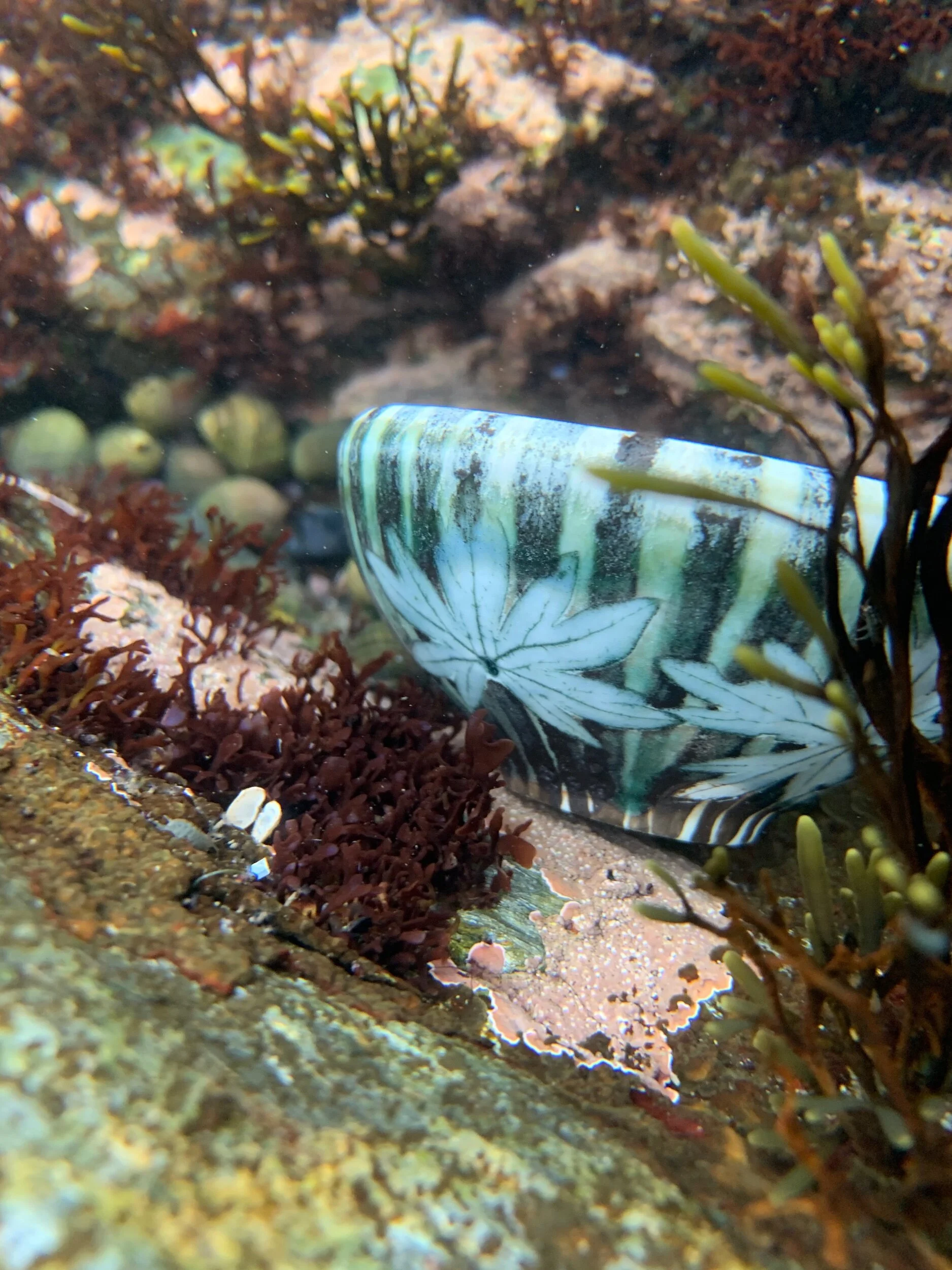 C2A5B368-4F6C-4F62-9B50-DC5B8523C171