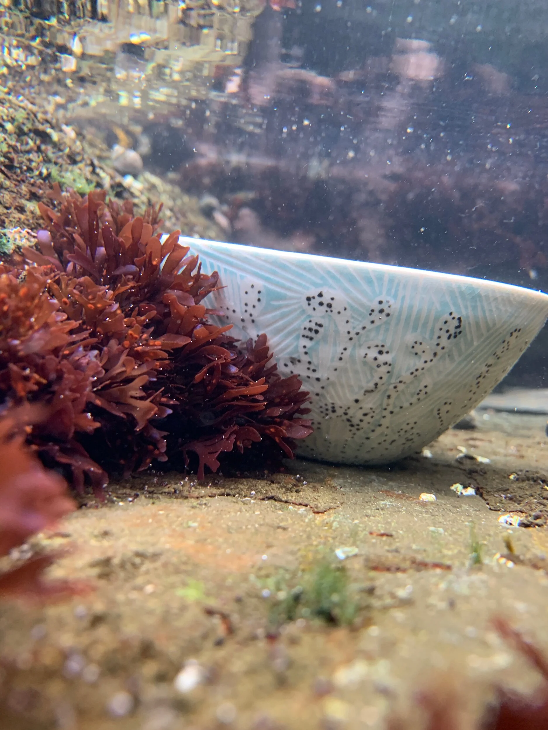 BD803C41-2F74-4CE0-AA5A-457D9136B498