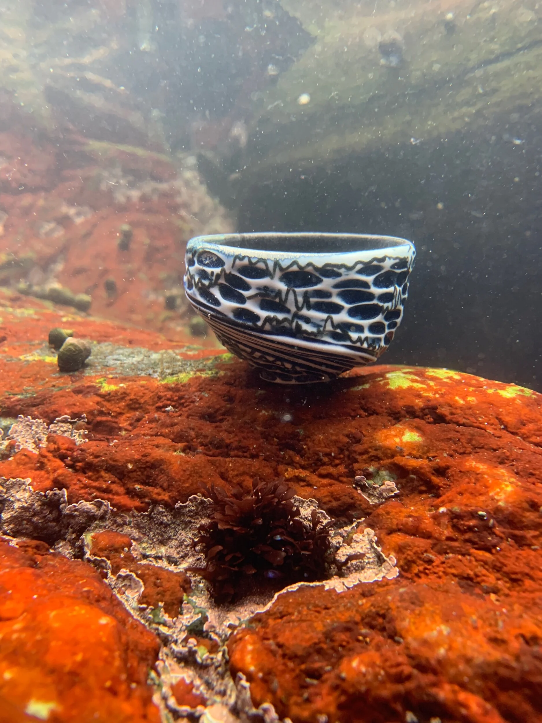 7291DA0C-7379-4639-AC2F-48FC7A58F422